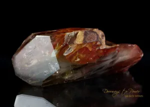 Angel Phantom Amphibole Quartz Crystal