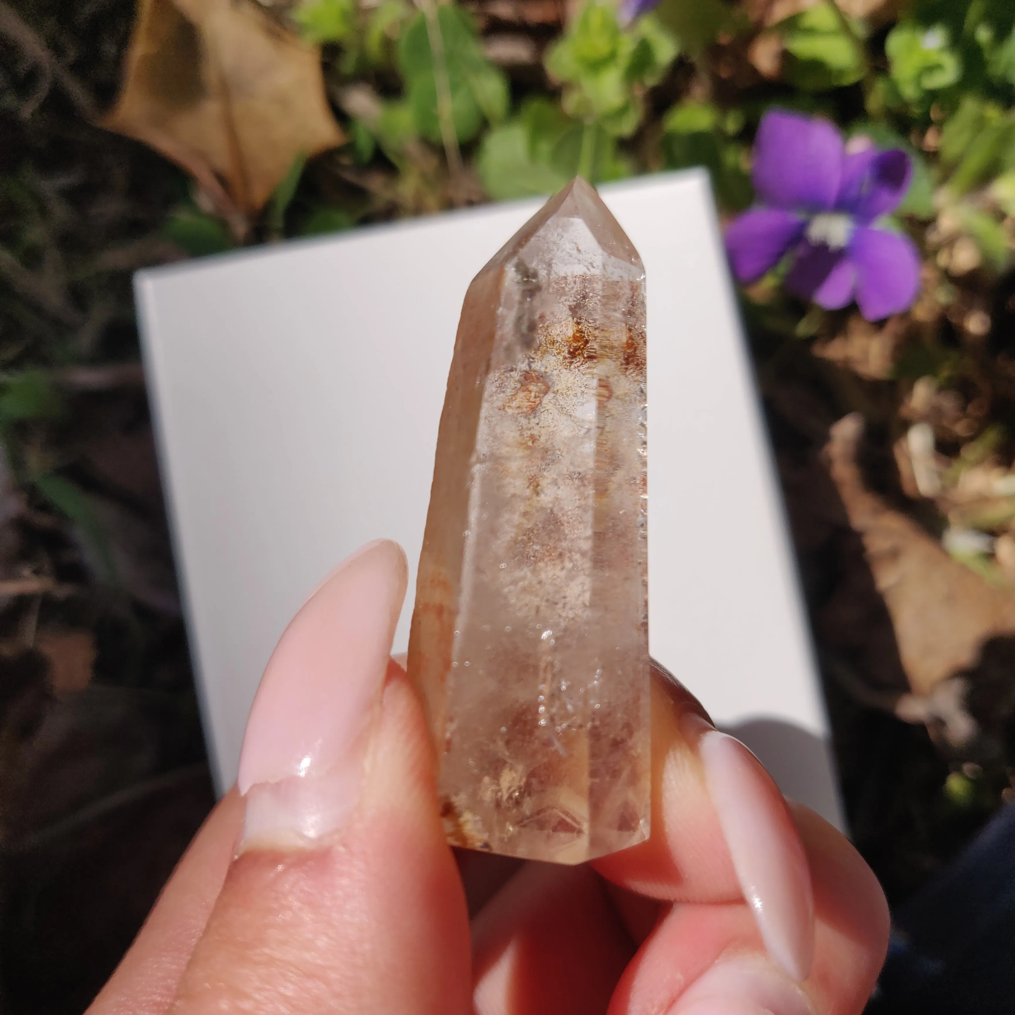 Garden Quartz Point, Lodolite Point (#11G)