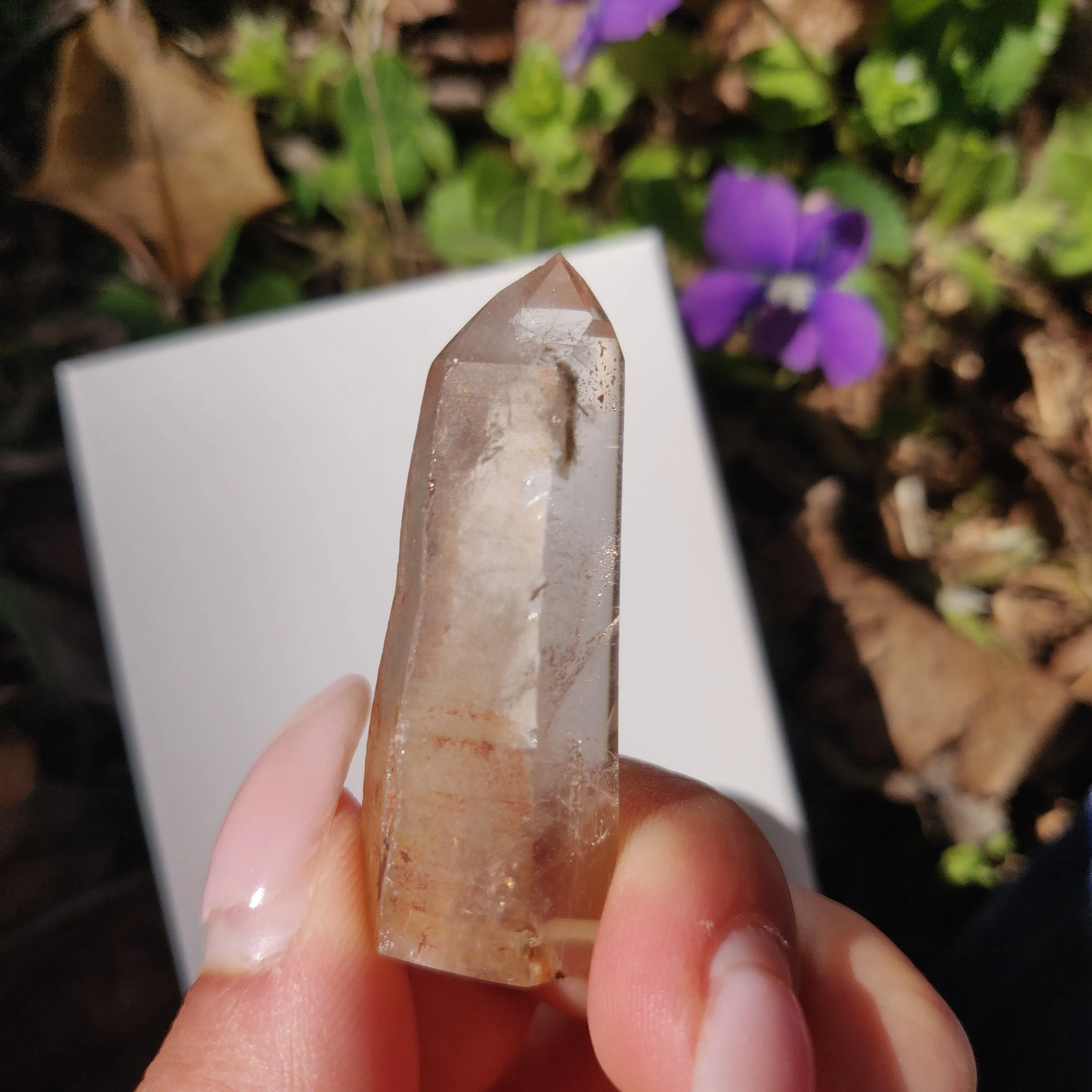 Garden Quartz Point, Lodolite Point (#11G)