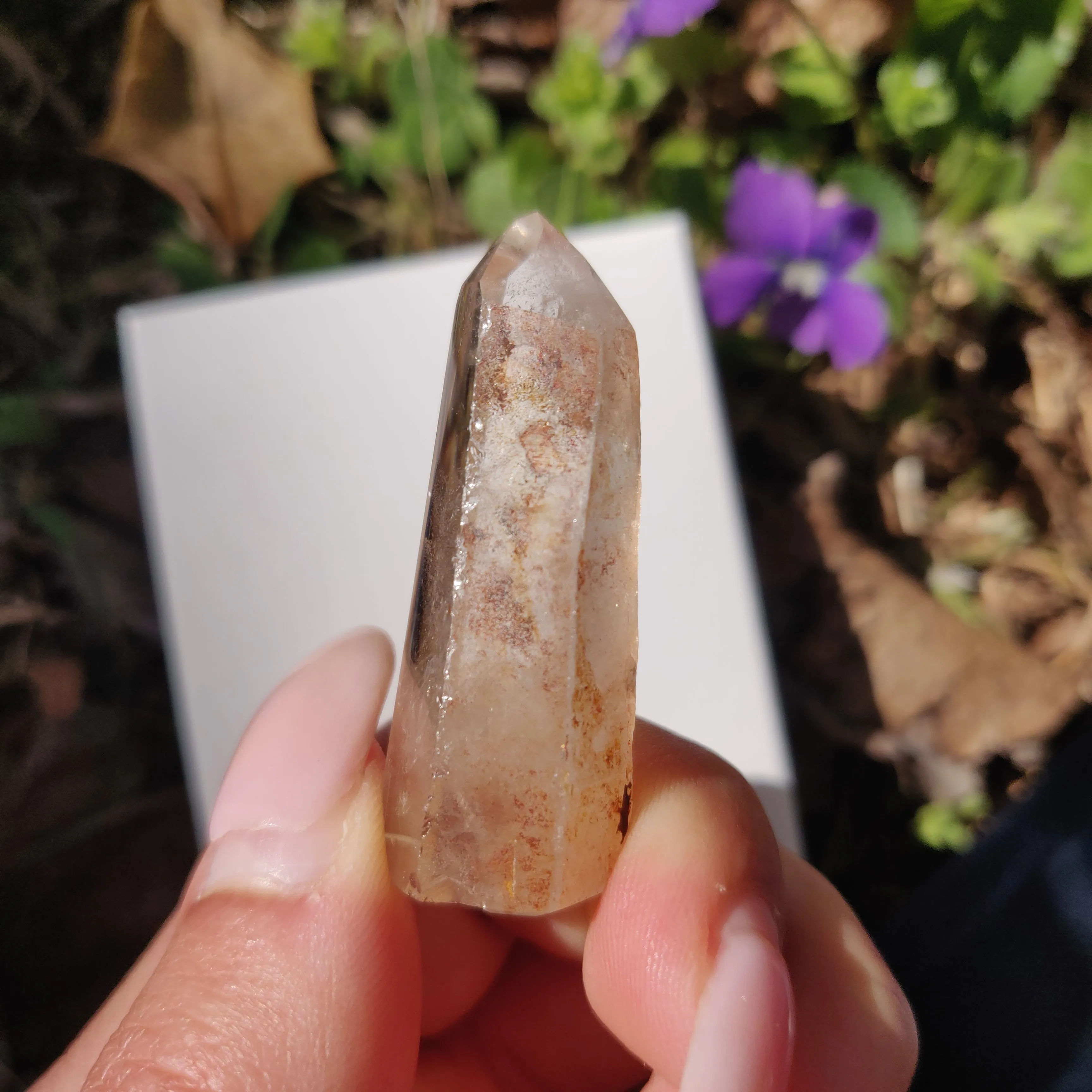 Garden Quartz Point, Lodolite Point (#11G)