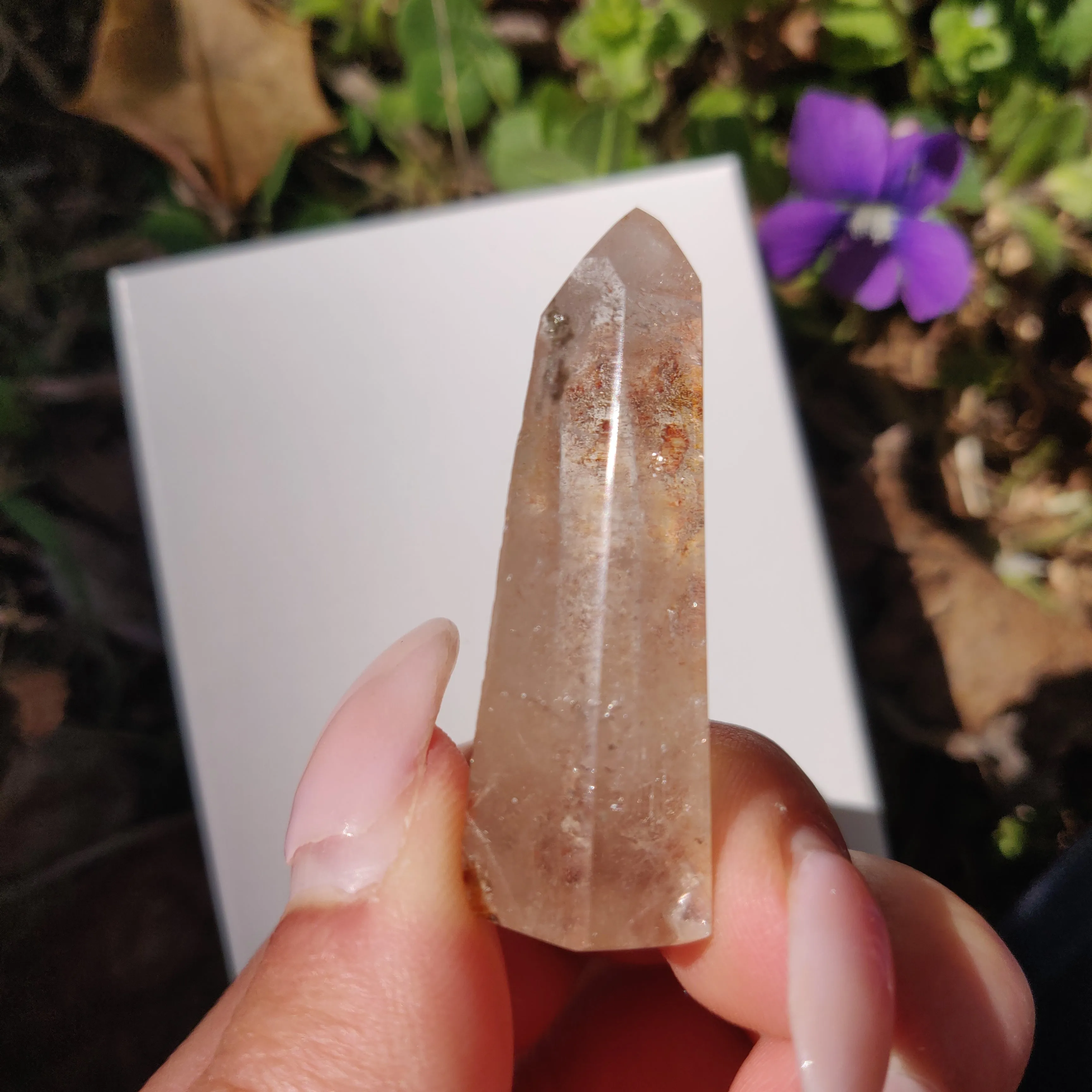 Garden Quartz Point, Lodolite Point (#11G)