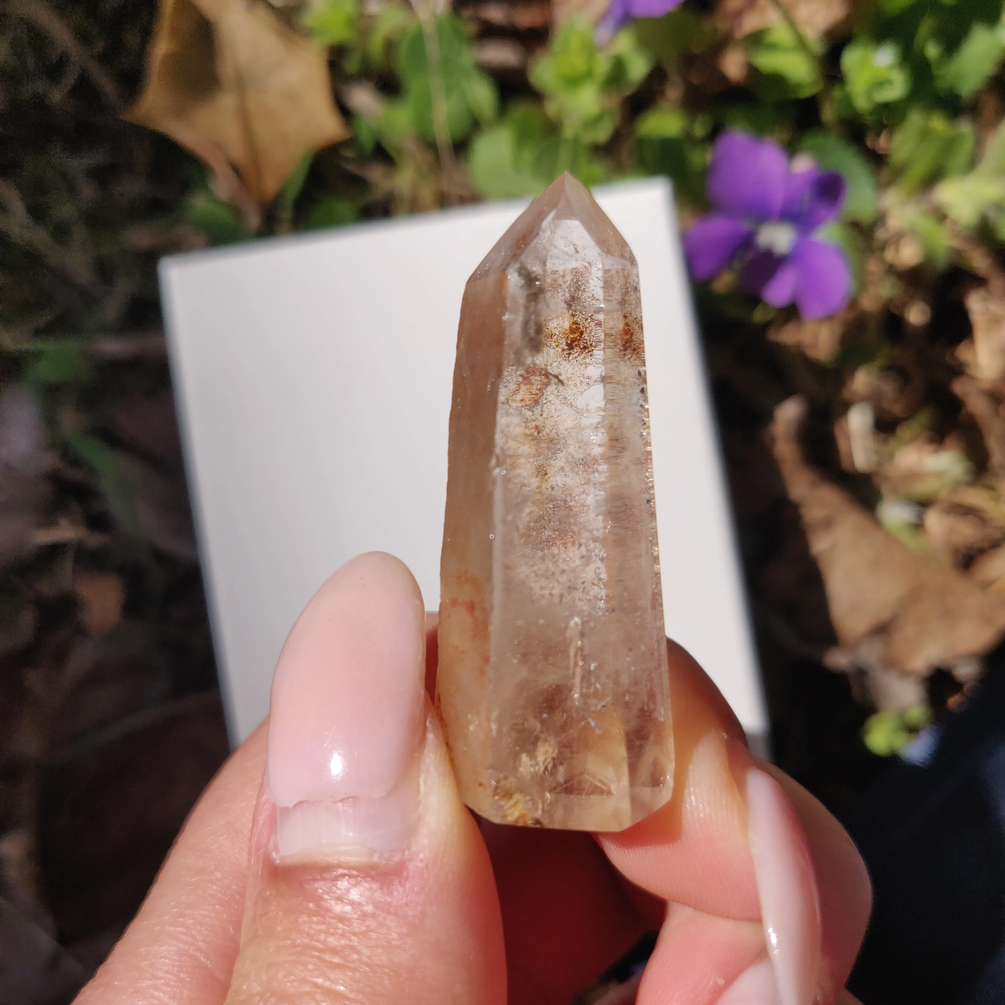 Garden Quartz Point, Lodolite Point (#11G)