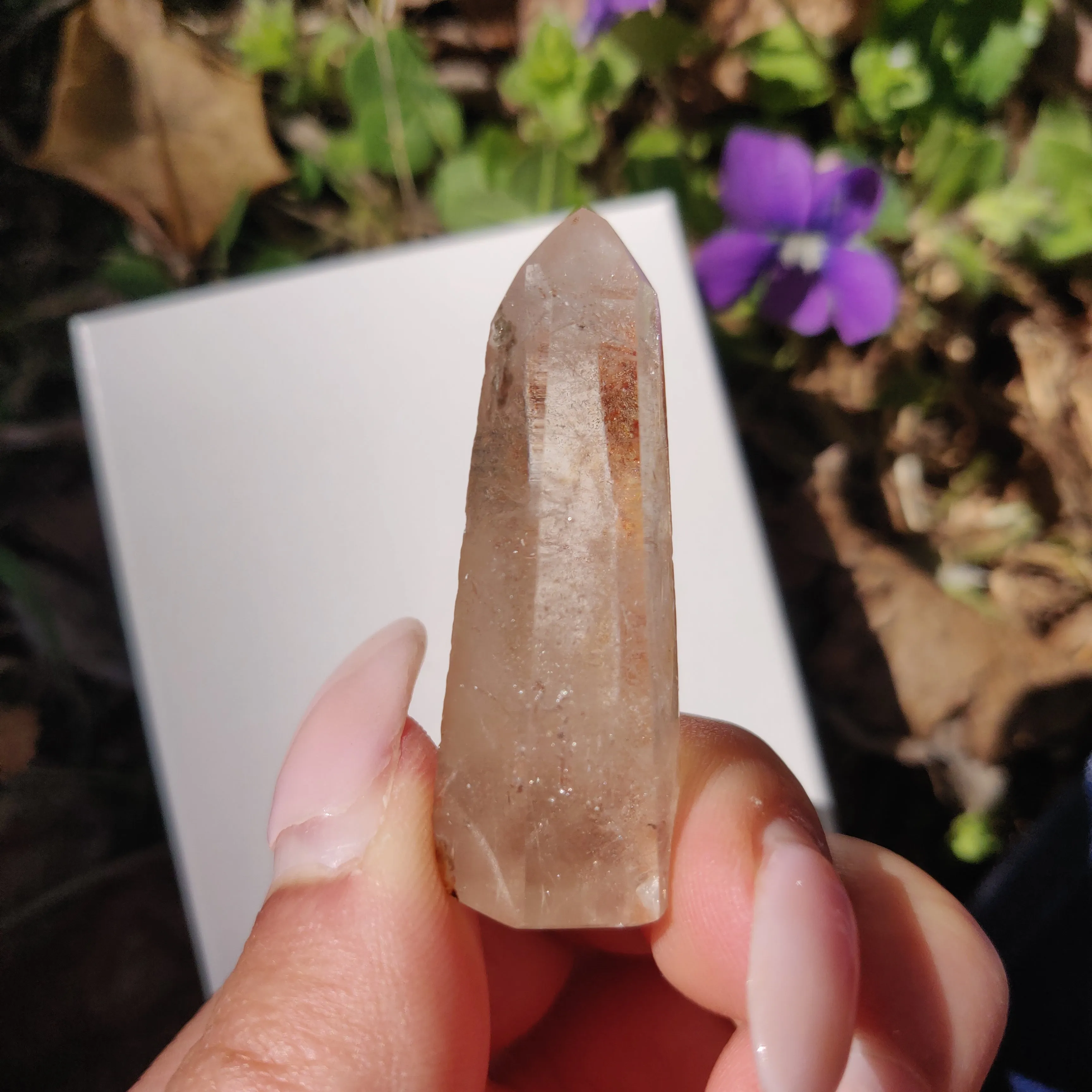 Garden Quartz Point, Lodolite Point (#11G)