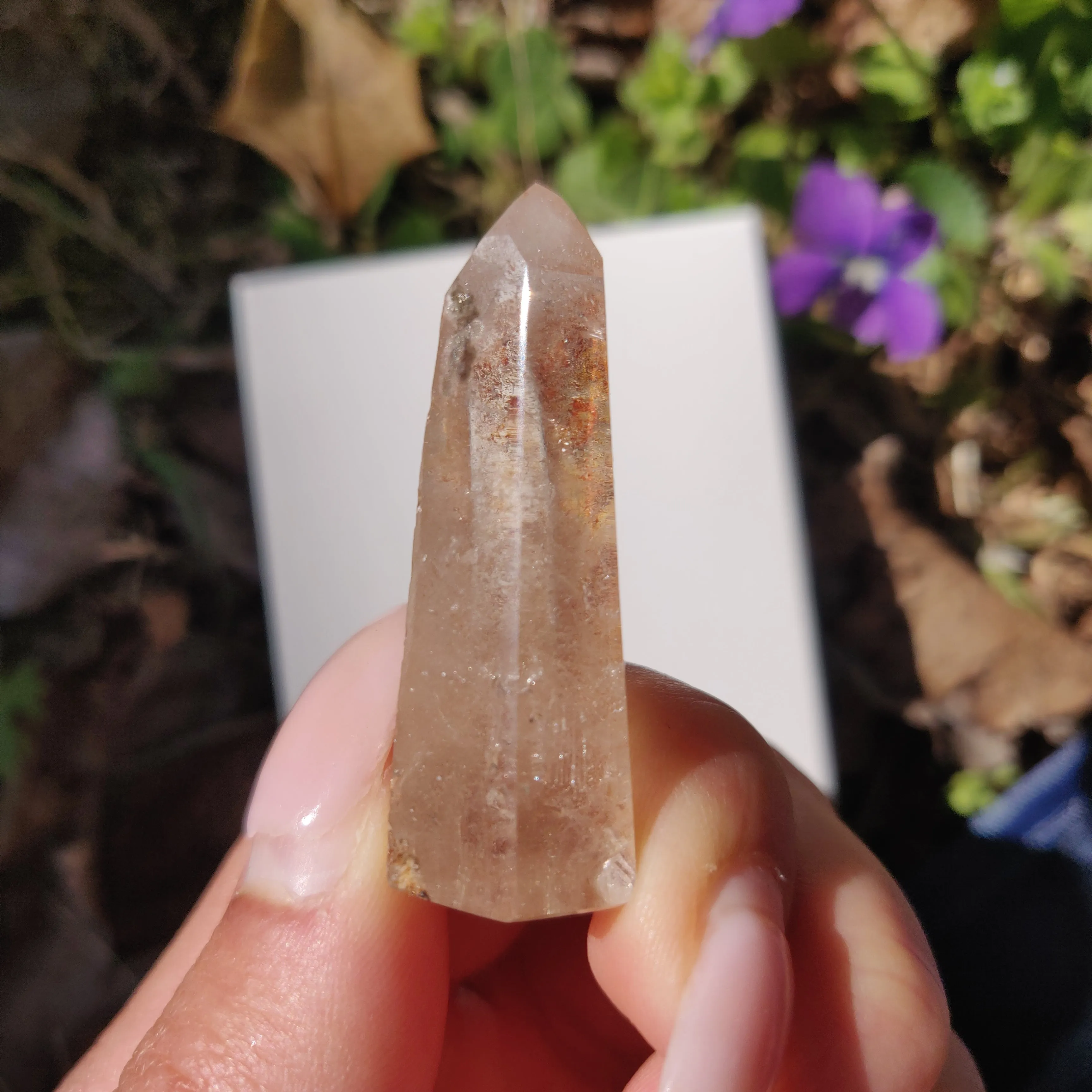 Garden Quartz Point, Lodolite Point (#11G)