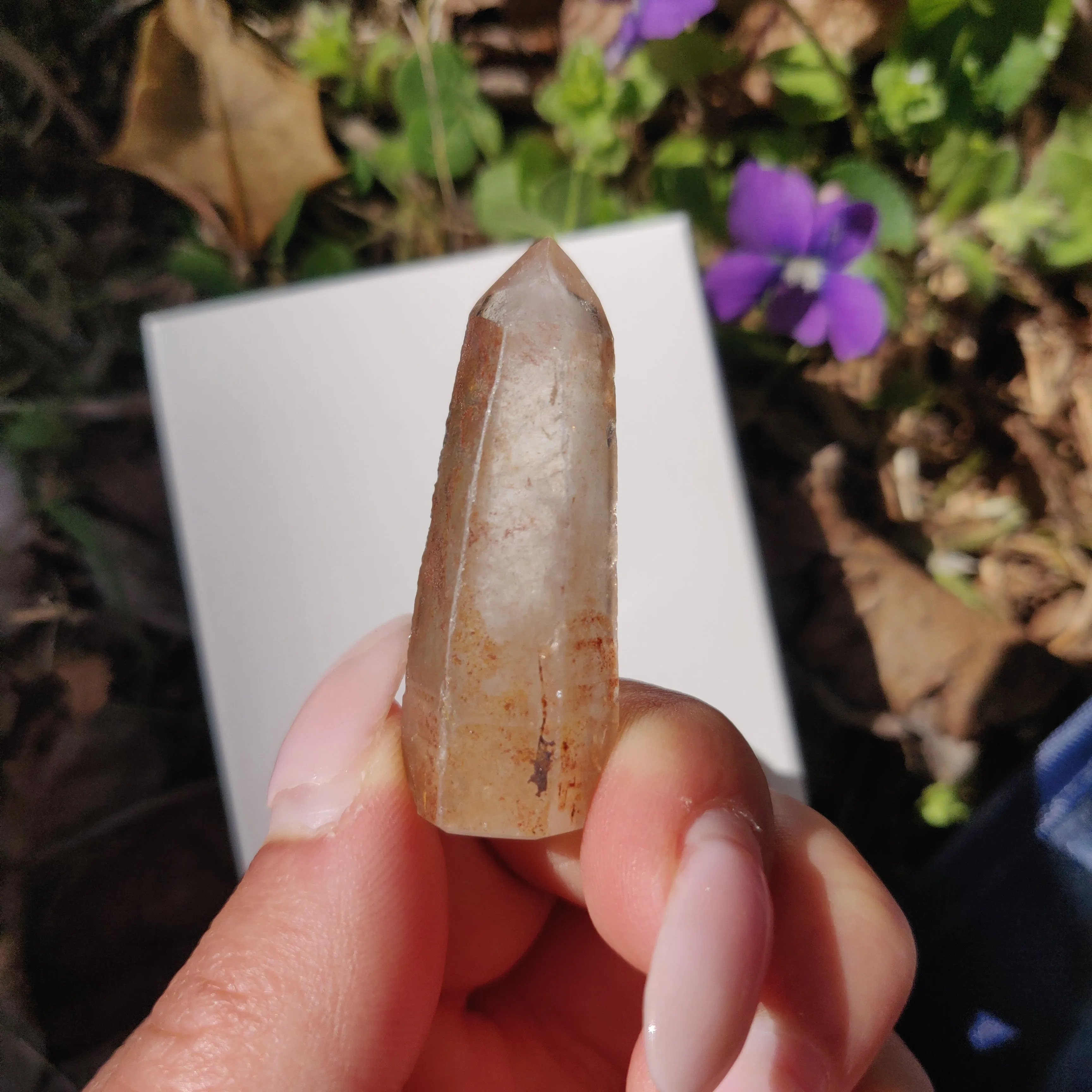 Garden Quartz Point, Lodolite Point (#11G)