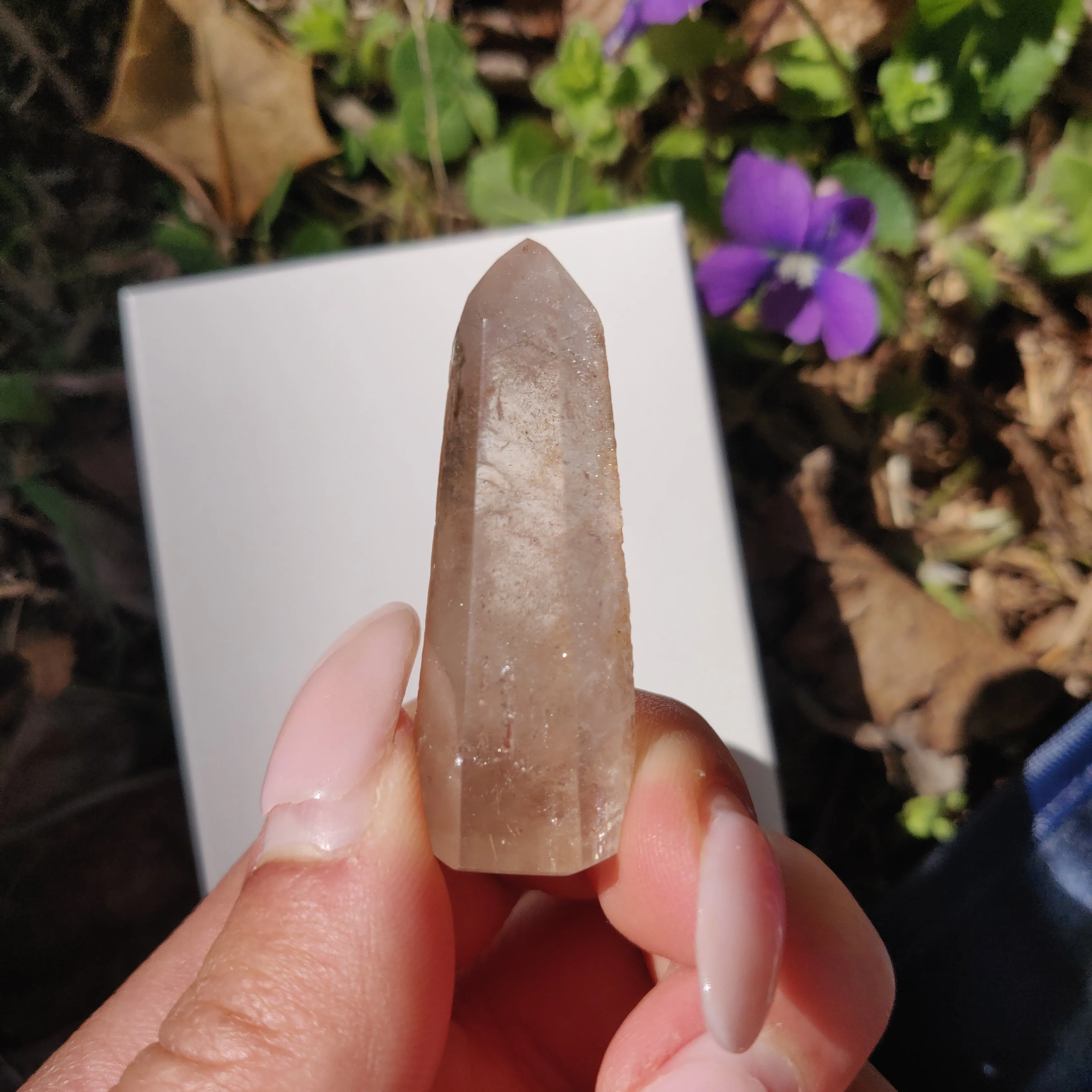 Garden Quartz Point, Lodolite Point (#11G)