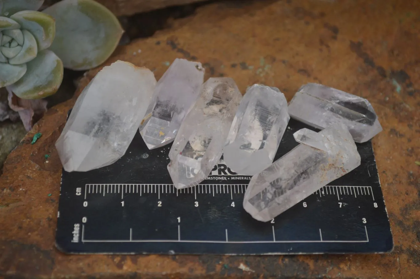 Natural Brandberg Clear Quartz Crystals With Hints Of Amethyst x 35 From Brandberg, Namibia