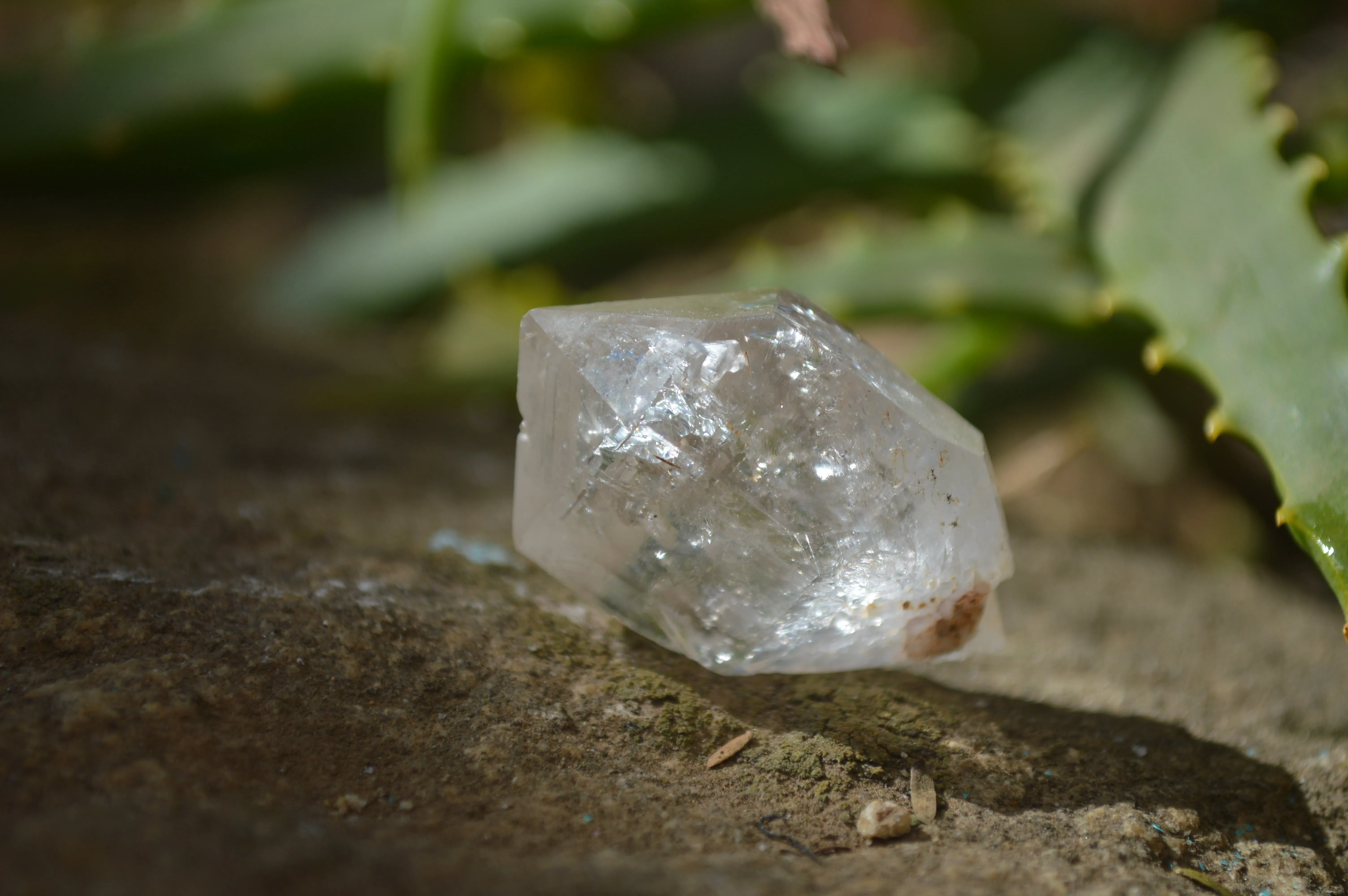 Natural Clear Brandberg Quartz Crystals x 35 From Brandberg, Namibia