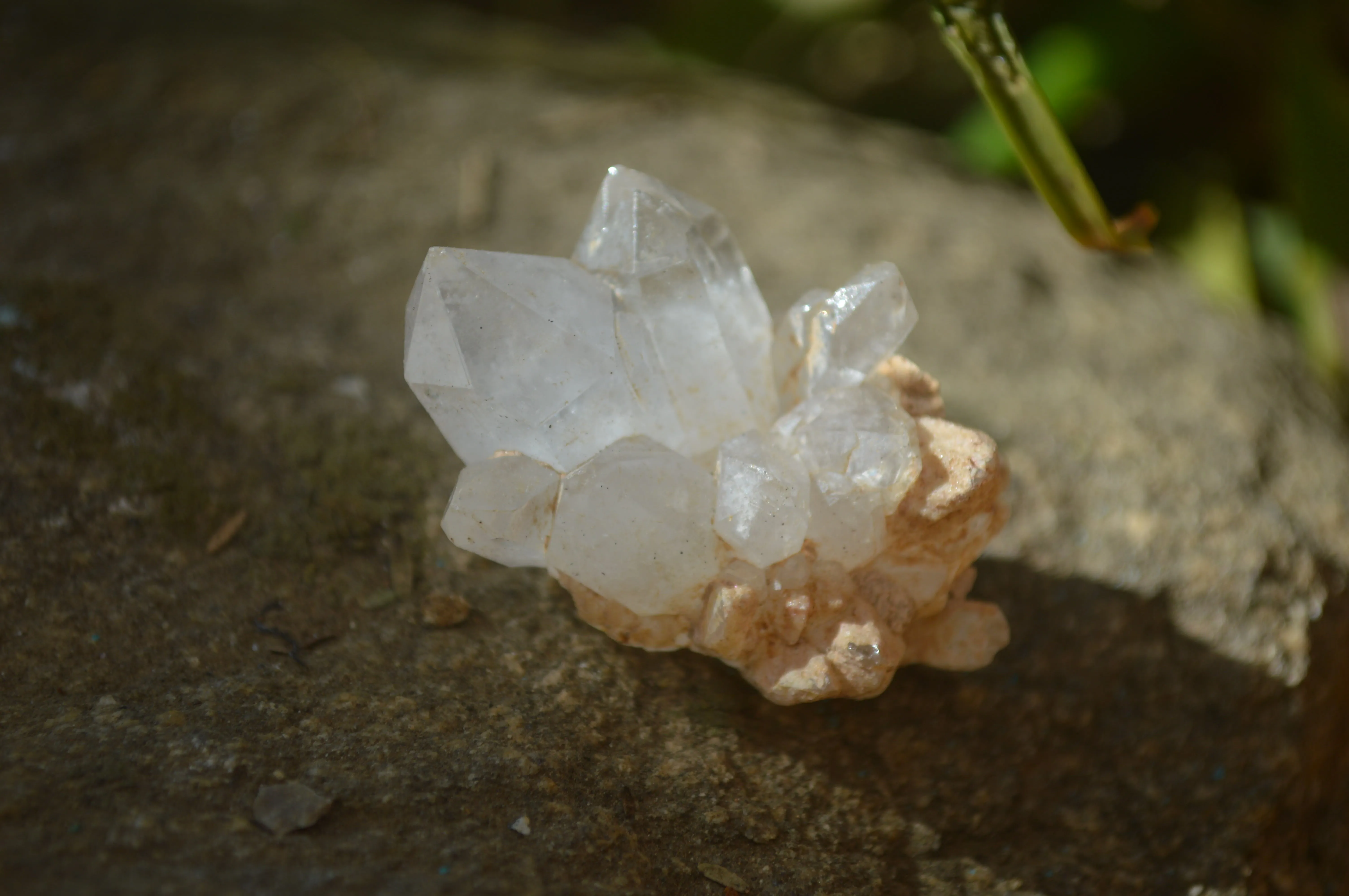 Natural Clear Brandberg Quartz Crystals x 35 From Brandberg, Namibia