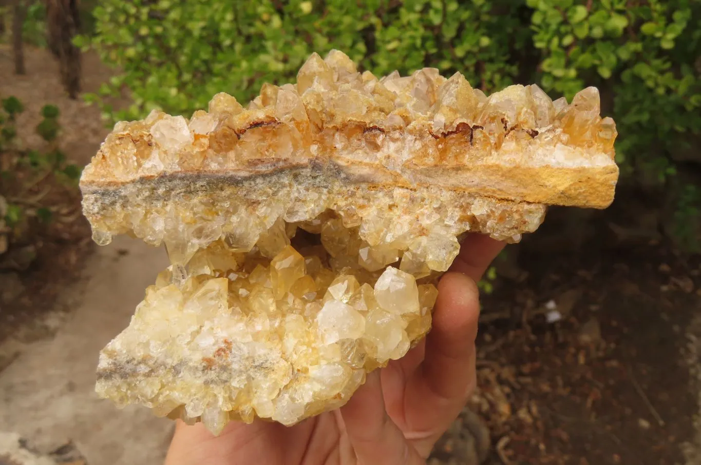 Natural Golden Limonite Quartz Cluster x 2 From Zambia