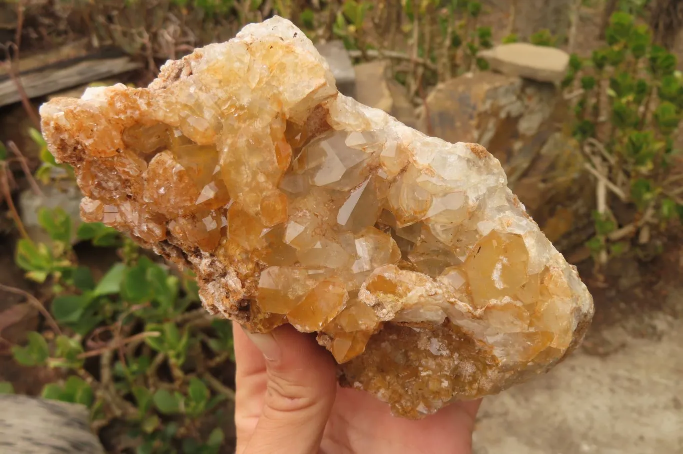 Natural Golden Limonite Quartz Cluster x 2 From Zambia