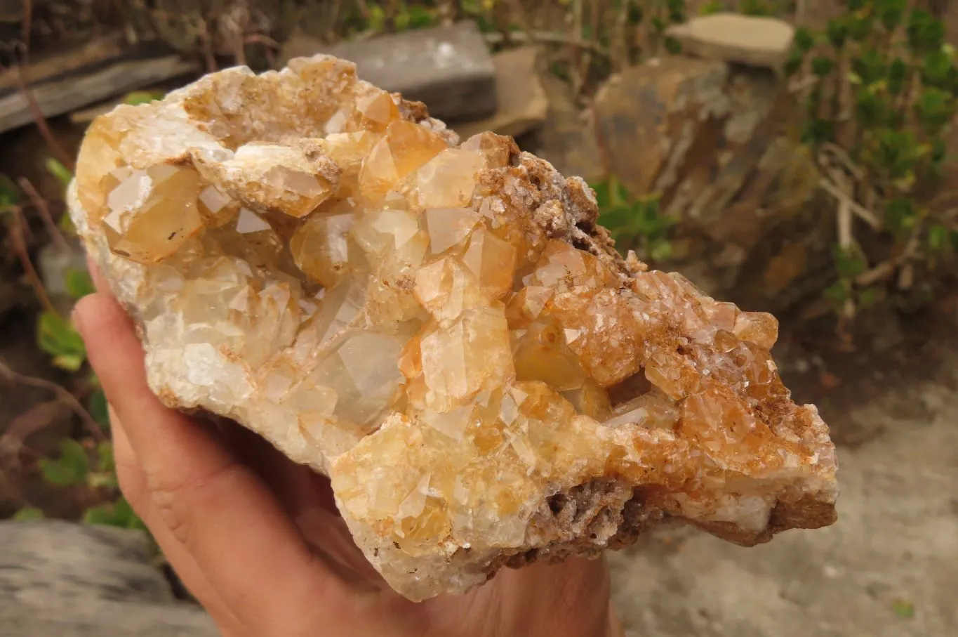 Natural Golden Limonite Quartz Cluster x 2 From Zambia