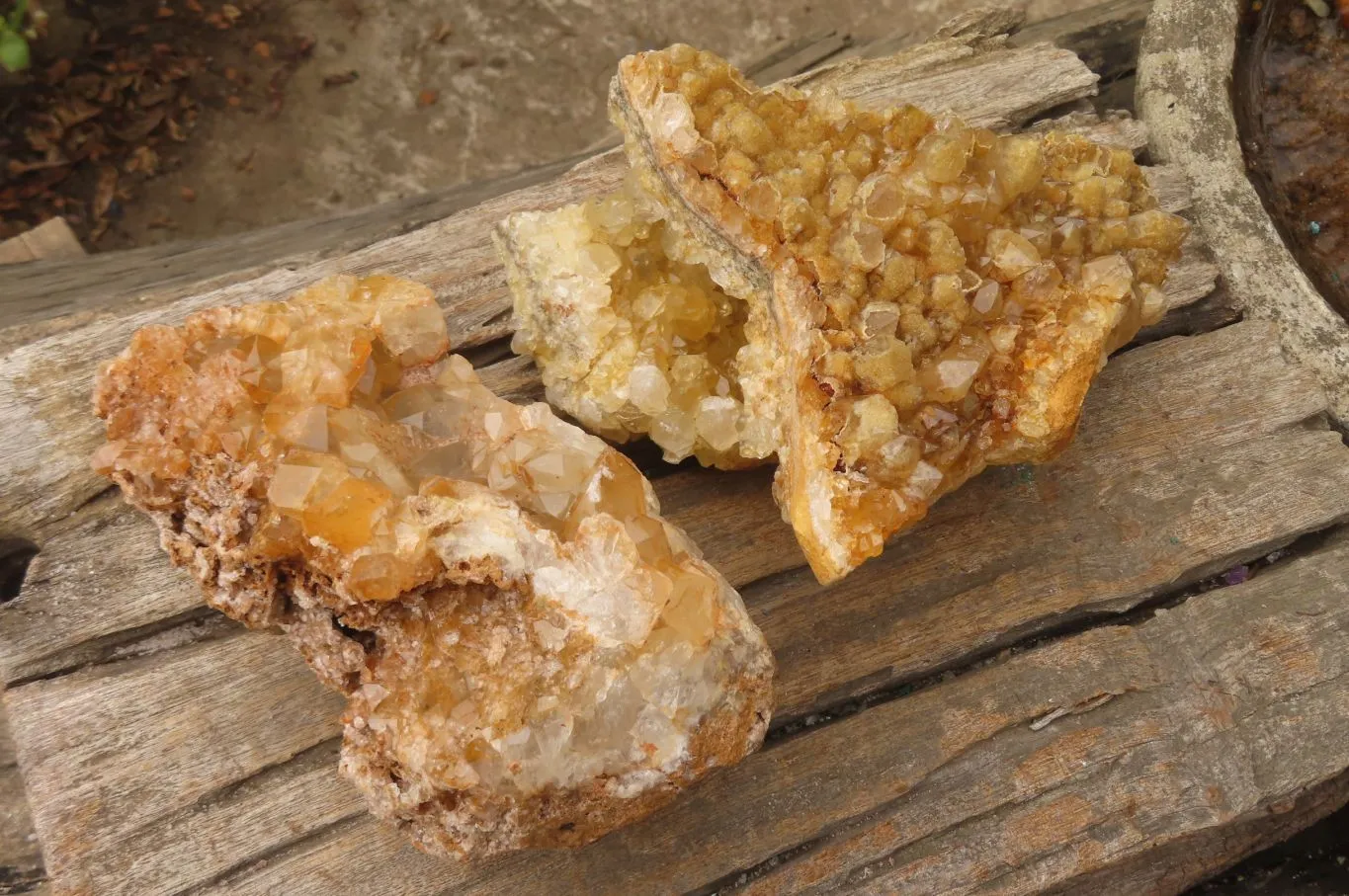 Natural Golden Limonite Quartz Cluster x 2 From Zambia