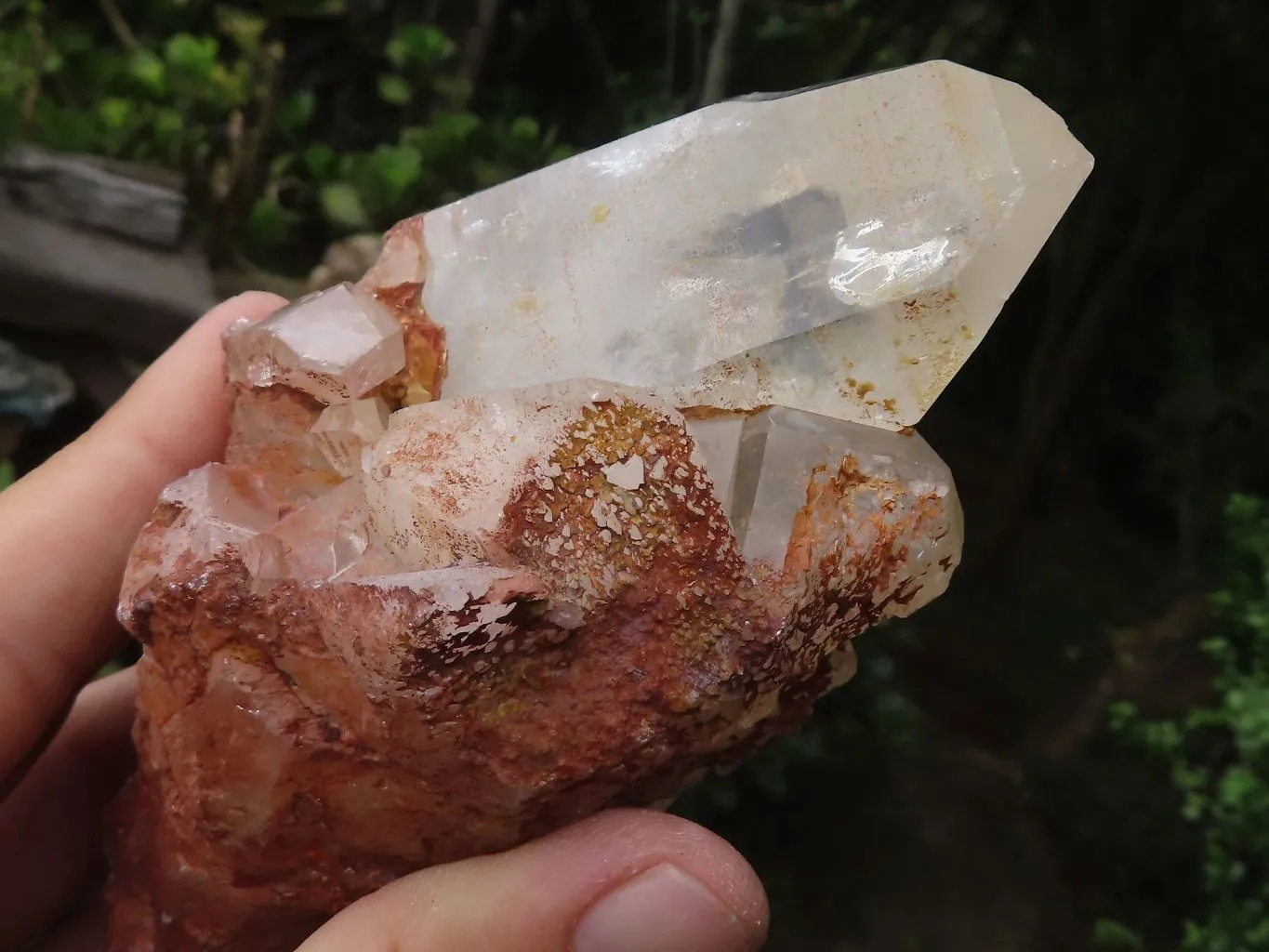 Natural Golden Tinted Quartz Clusters x 9 From Zambia