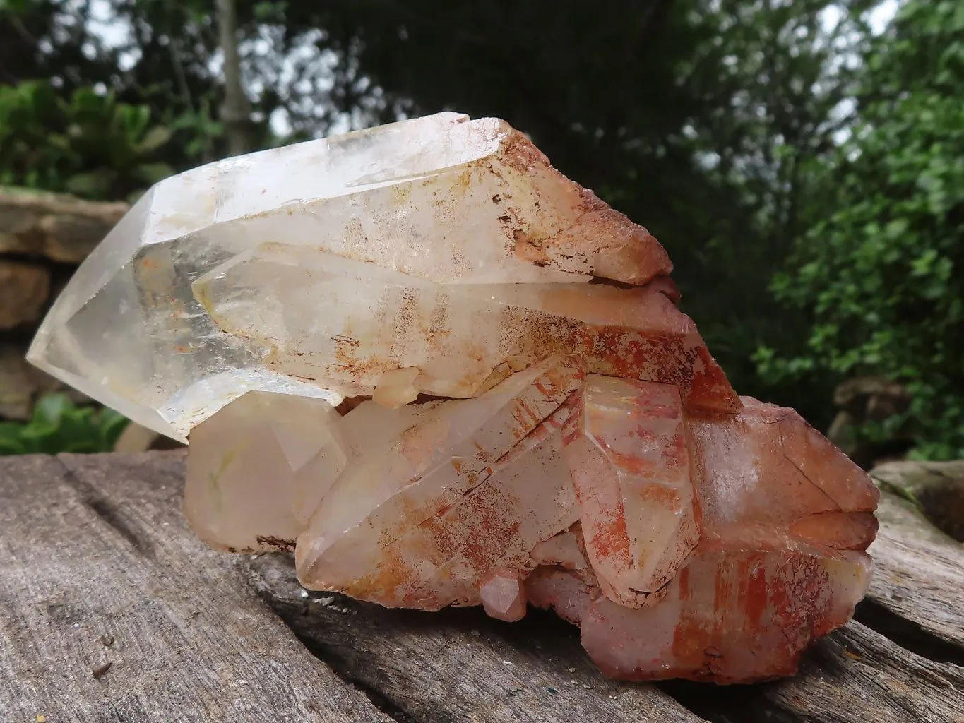 Natural Golden Tinted Quartz Clusters x 9 From Zambia