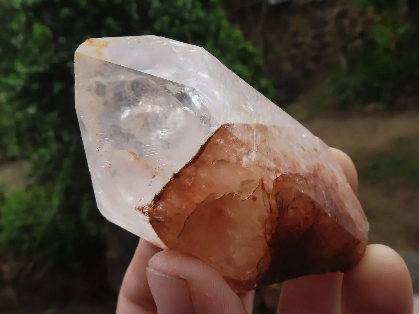 Natural Golden Tinted Quartz Clusters x 9 From Zambia