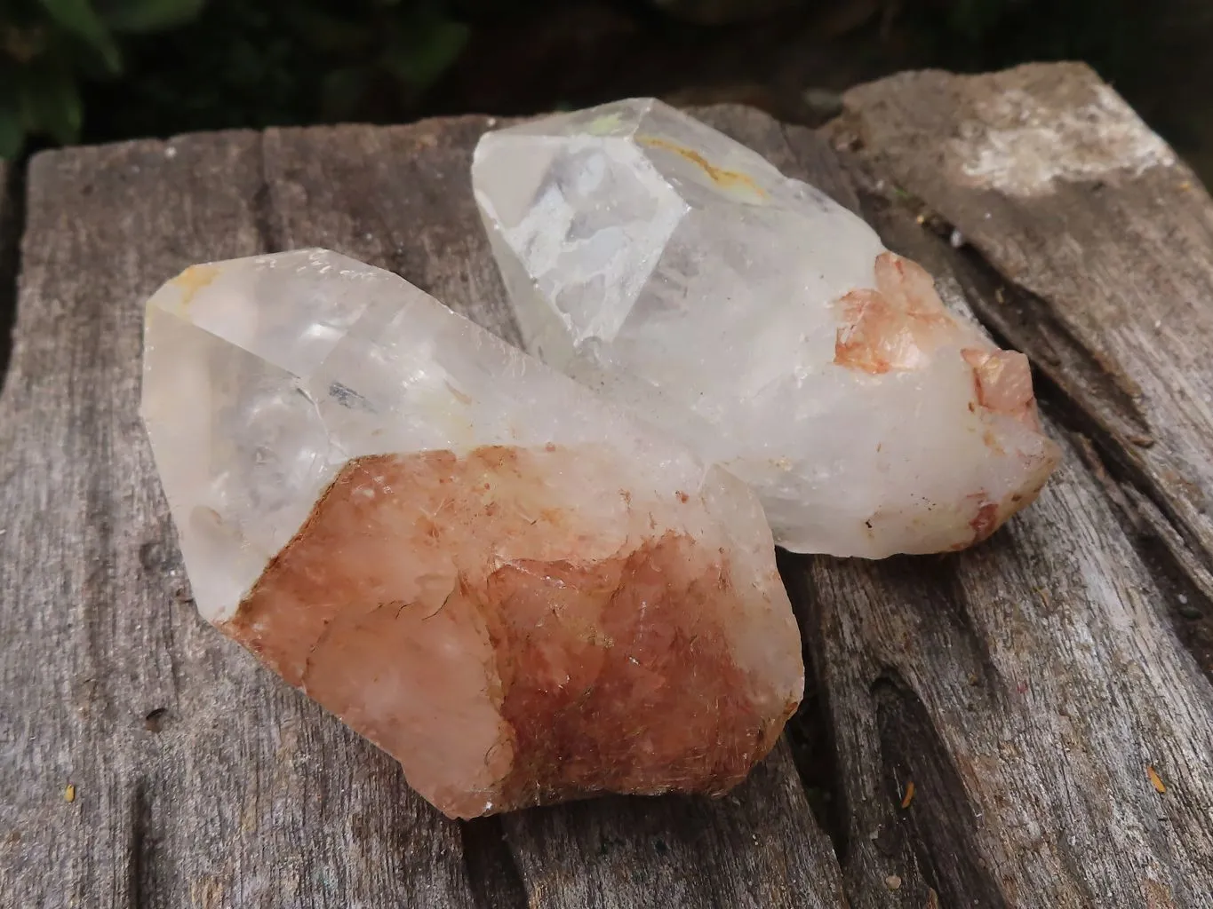 Natural Golden Tinted Quartz Clusters x 9 From Zambia