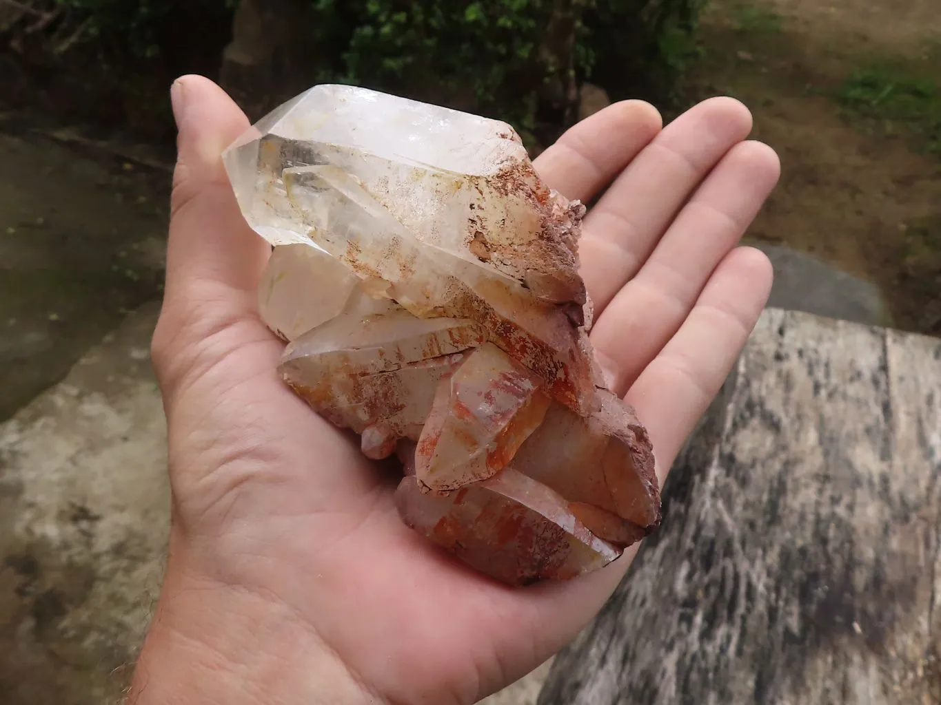 Natural Golden Tinted Quartz Clusters x 9 From Zambia