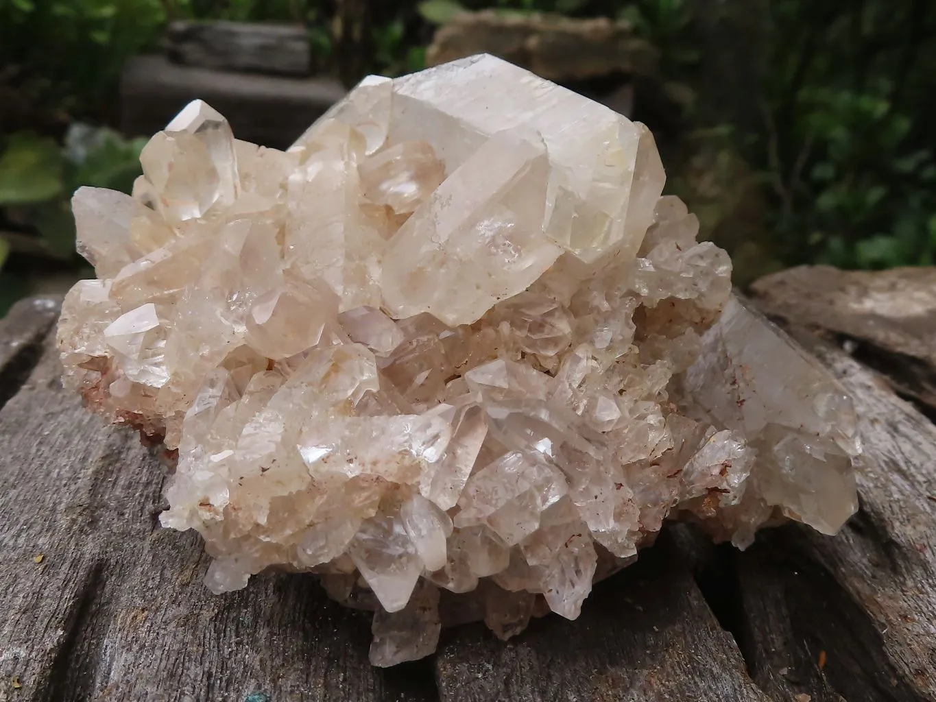 Natural Golden Tinted Quartz Clusters x 9 From Zambia