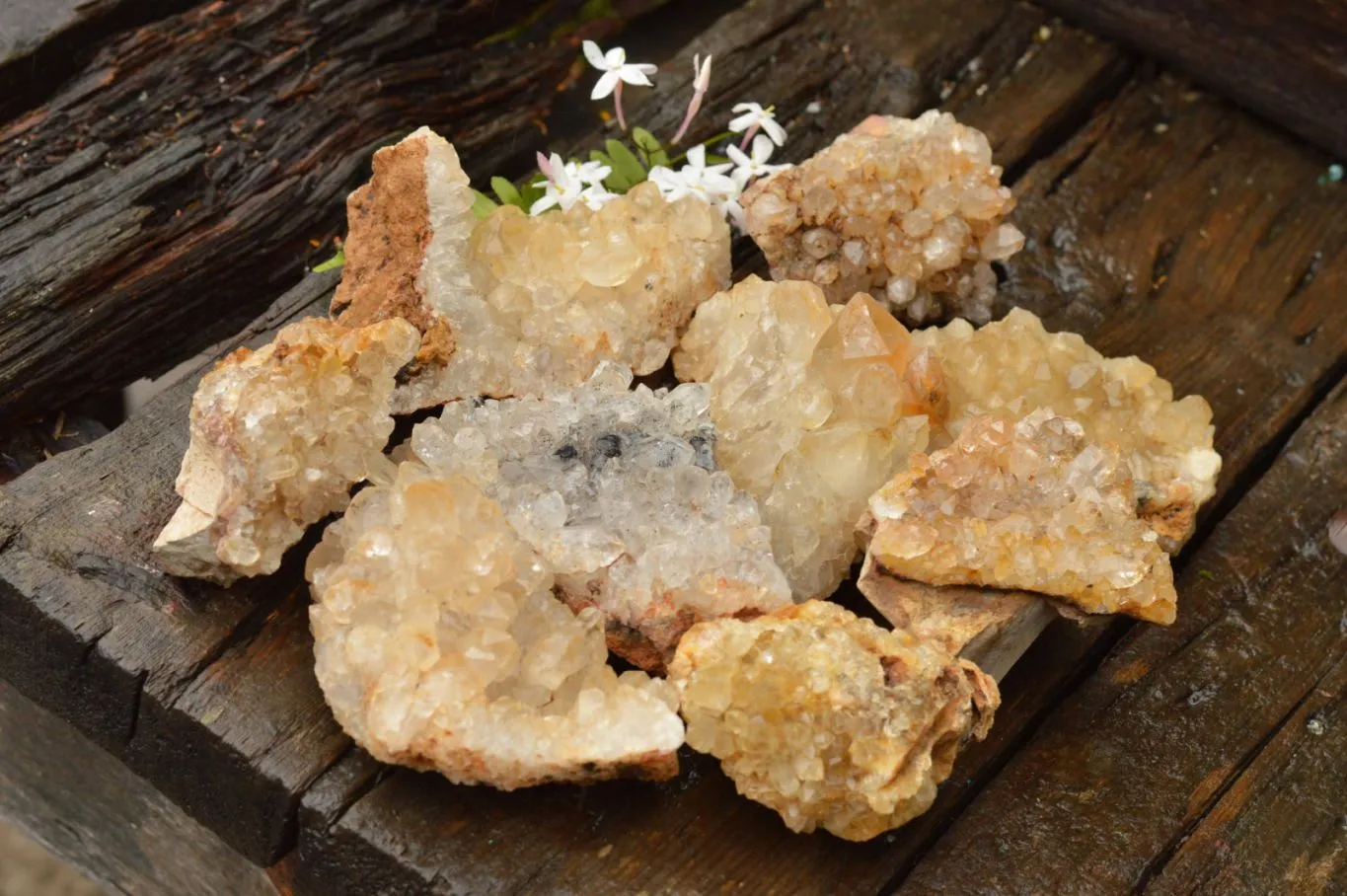 Natural Limonite Quartz Clusters With Goethite Inclusions In Some x 12 From Solwezi, Zambia