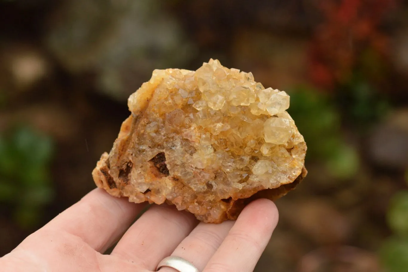 Natural Limonite Quartz Clusters With Goethite Inclusions In Some x 12 From Solwezi, Zambia