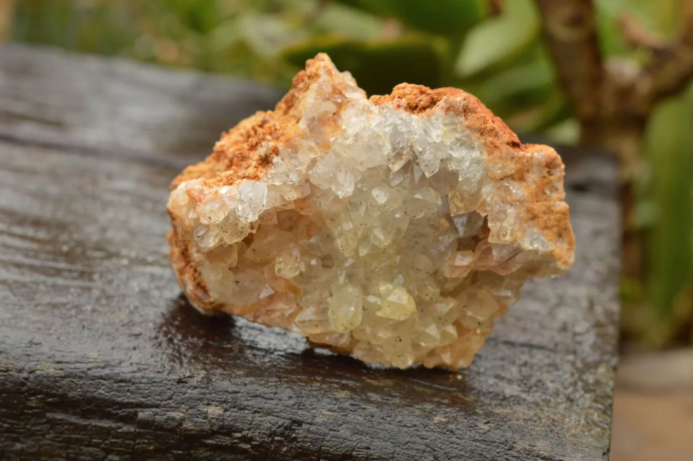 Natural Limonite Quartz Clusters With Goethite Inclusions In Some x 12 From Solwezi, Zambia