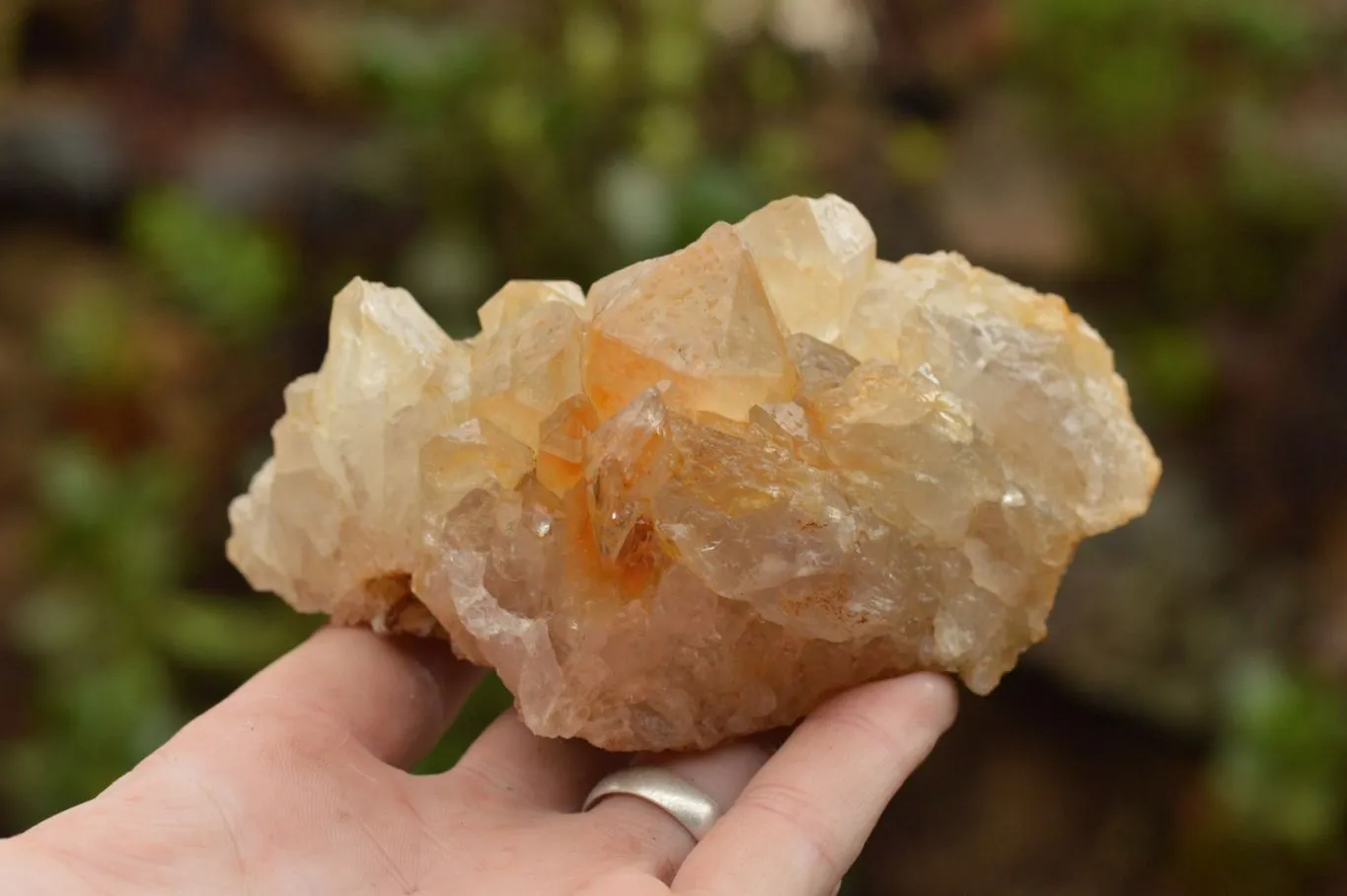 Natural Limonite Quartz Clusters With Goethite Inclusions In Some x 12 From Solwezi, Zambia