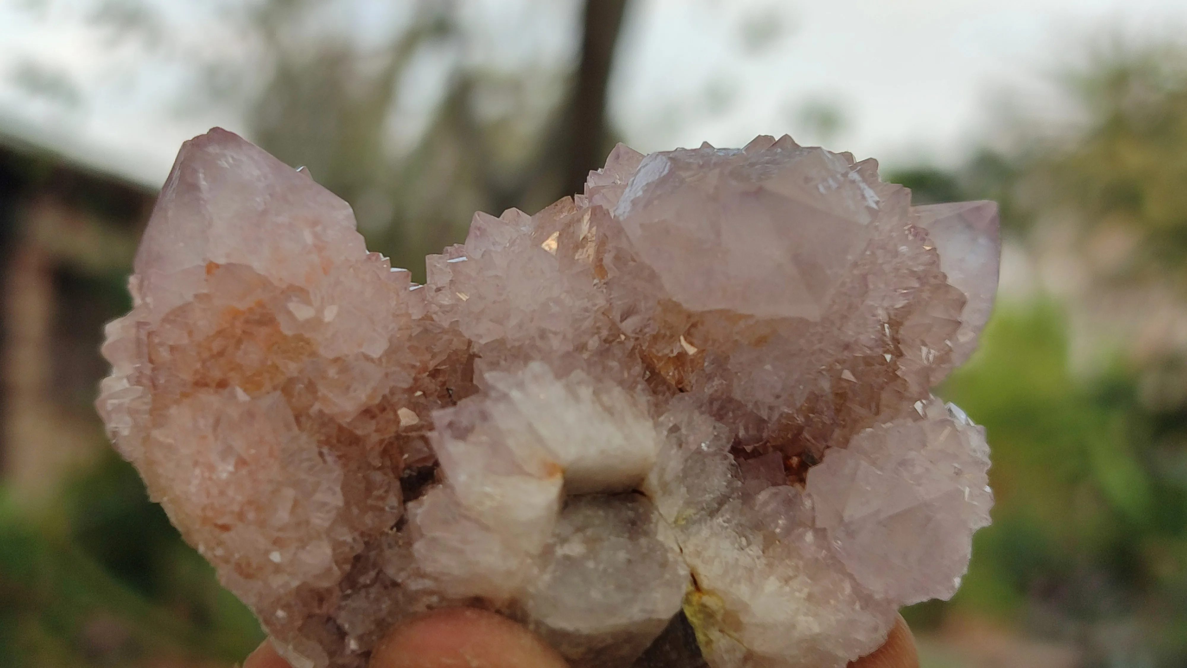 Natural Pale Spirit Amethyst Quartz Clusters x 12 From Boekenhouthoek, South Africa