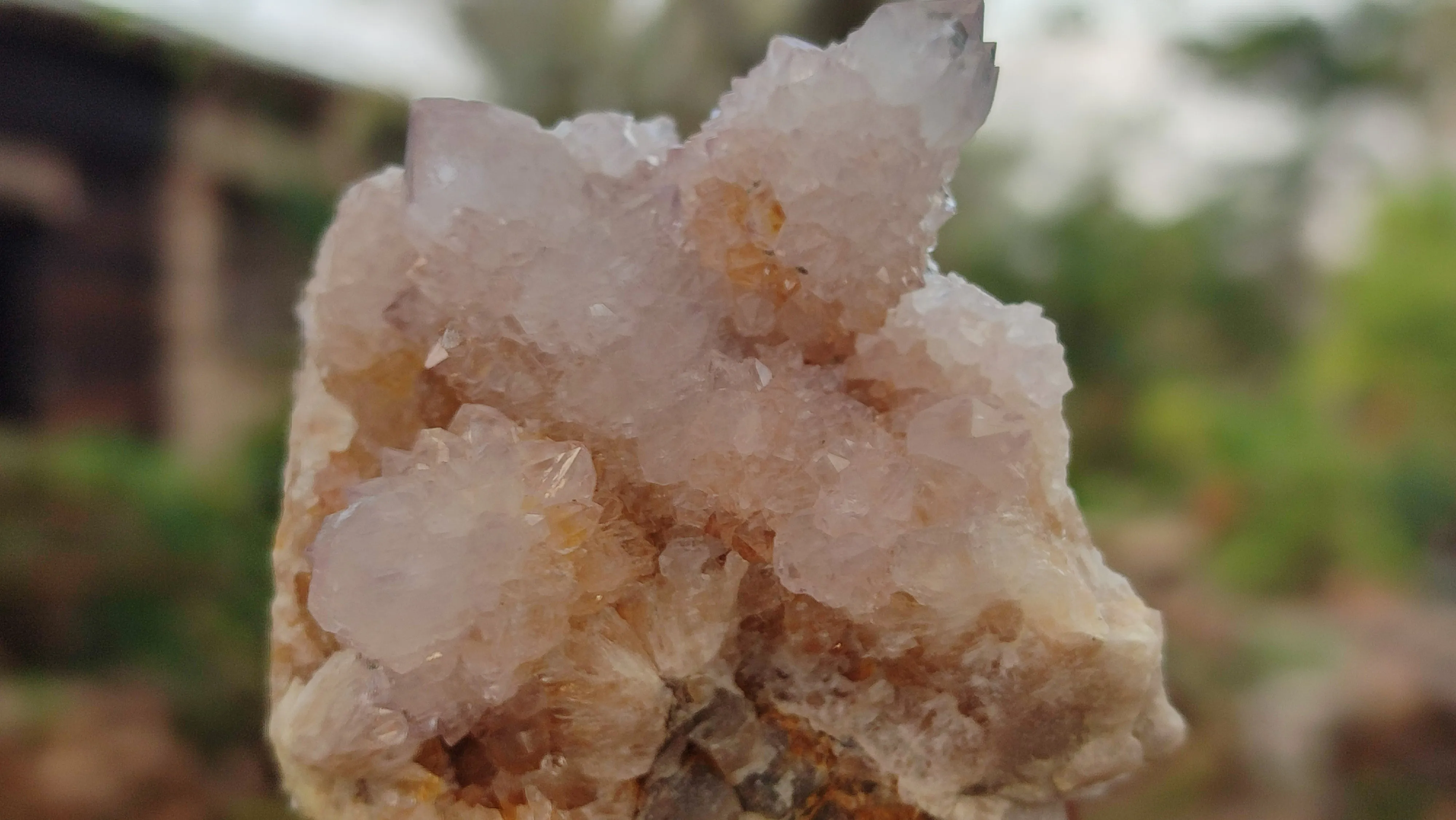 Natural Pale Spirit Amethyst Quartz Clusters x 12 From Boekenhouthoek, South Africa