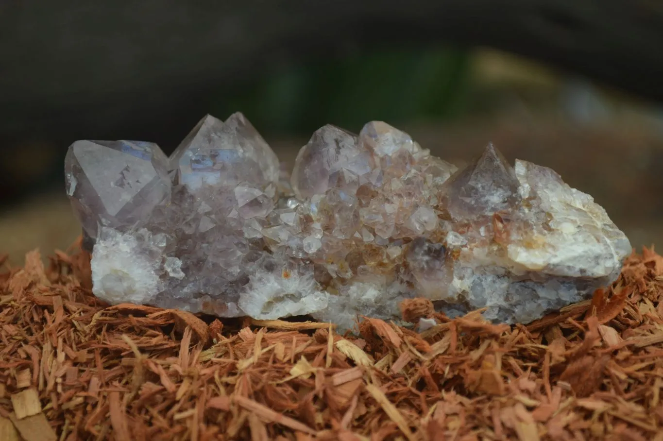 Natural Rare Dark Purple Spirit Amethyst Clusters x 24 From Boekenhouthoek, South Africa