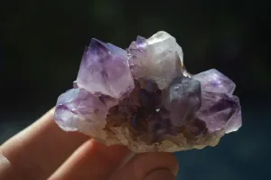 Natural Rare Dark Purple Spirit Amethyst Clusters x 24 From Boekenhouthoek, South Africa