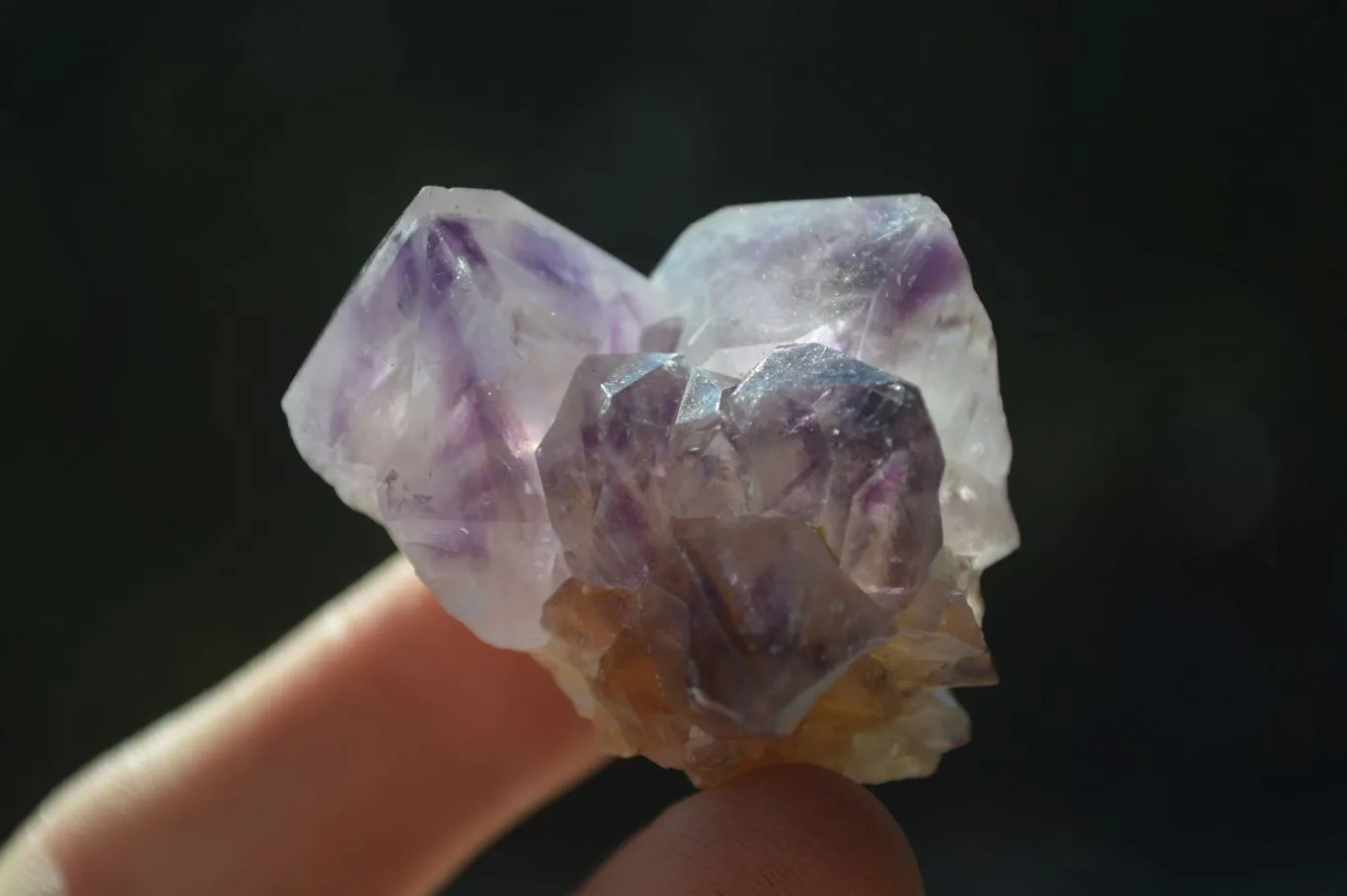 Natural Rare Dark Purple Spirit Amethyst Clusters x 24 From Boekenhouthoek, South Africa