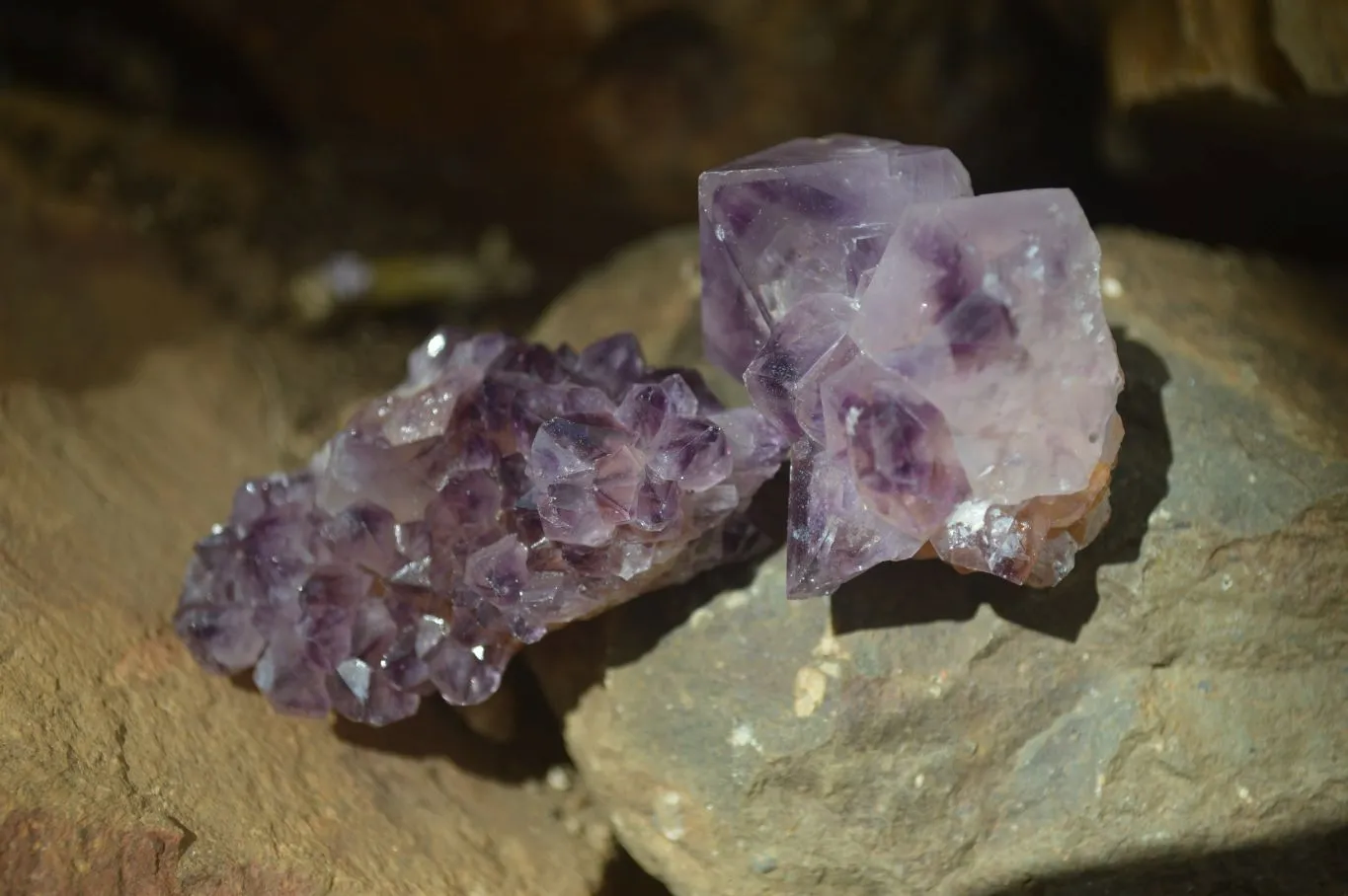 Natural Rare Dark Purple Spirit Amethyst Clusters x 24 From Boekenhouthoek, South Africa