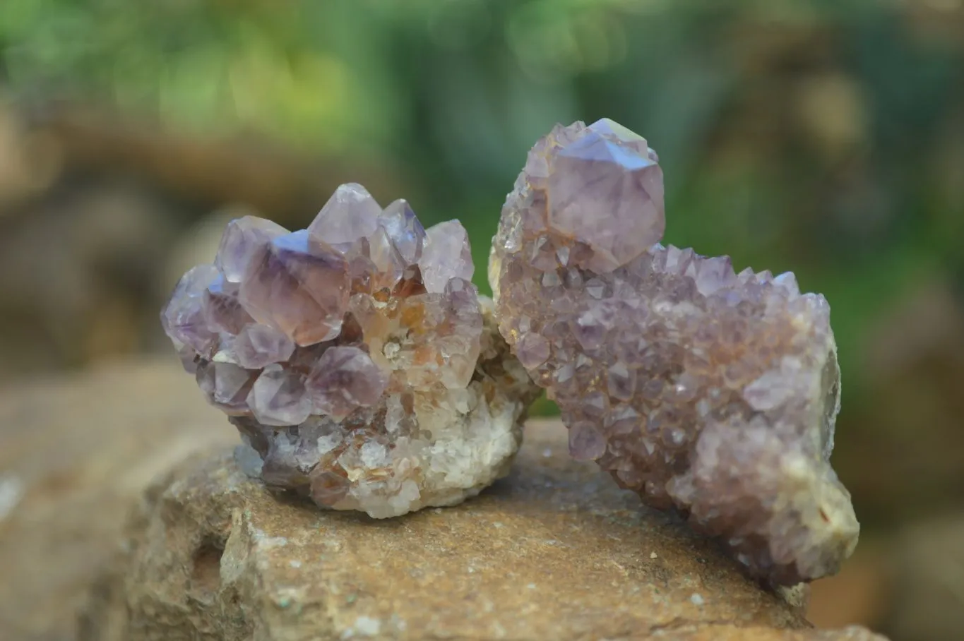 Natural Rare Dark Purple Spirit Amethyst Clusters x 24 From Boekenhouthoek, South Africa