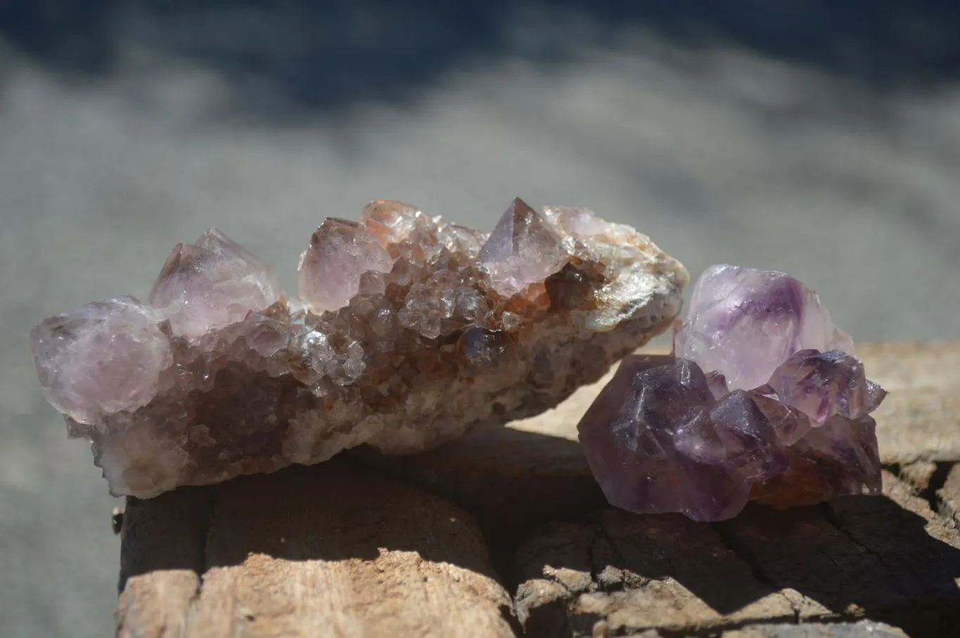 Natural Rare Dark Purple Spirit Amethyst Clusters x 24 From Boekenhouthoek, South Africa