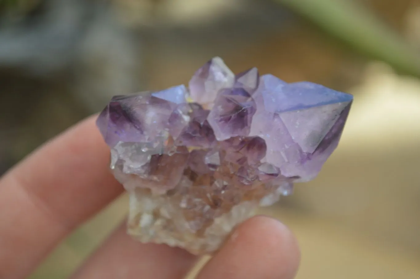 Natural Rare Dark Purple Spirit Amethyst Clusters x 24 From Boekenhouthoek, South Africa