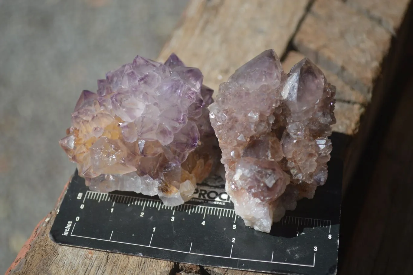 Natural Rare Dark Purple Spirit Amethyst Clusters x 24 From Boekenhouthoek, South Africa