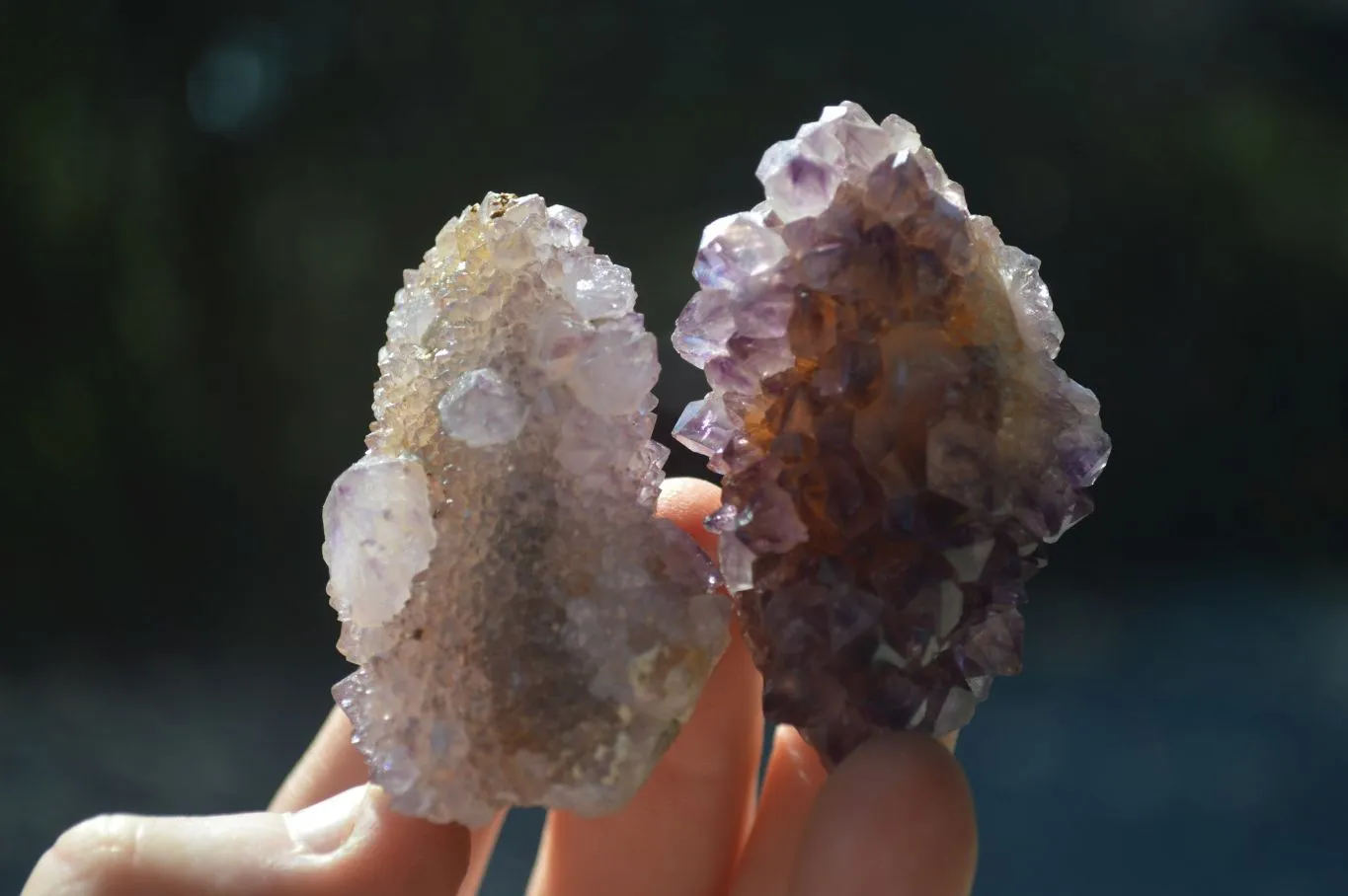 Natural Rare Dark Purple Spirit Amethyst Clusters x 24 From Boekenhouthoek, South Africa