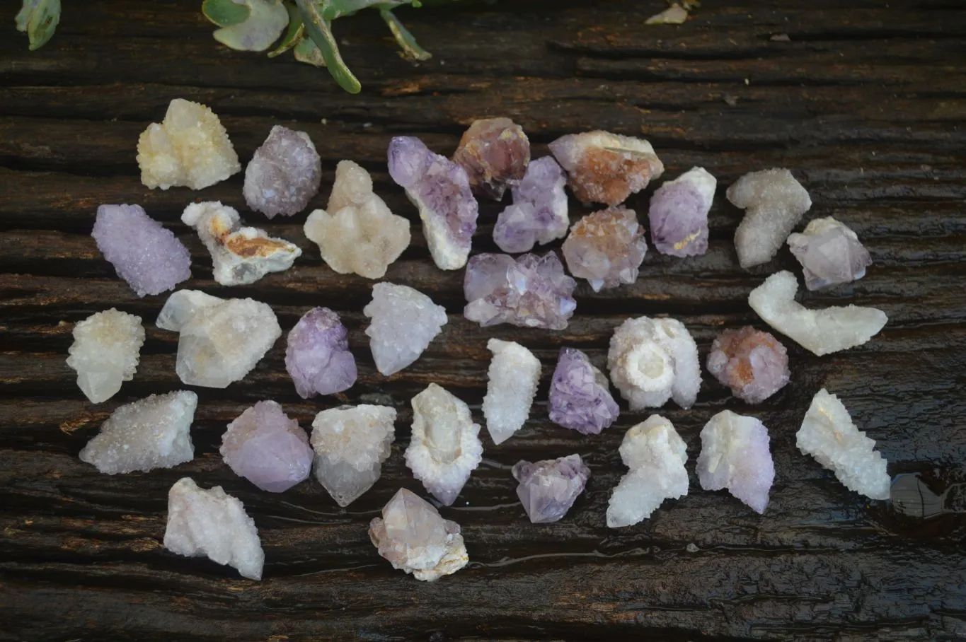 Natural Small Mixed Spirit Quartz Crystals x 70 From Boekenhouthoek, South Africa