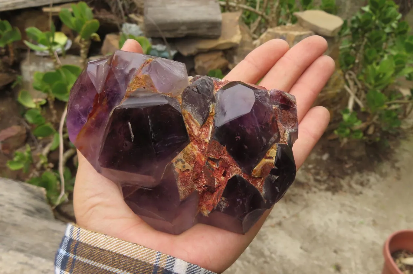 Polished Amethyst Window Quartz Crystals x 4 From Akansobe, Madagascar