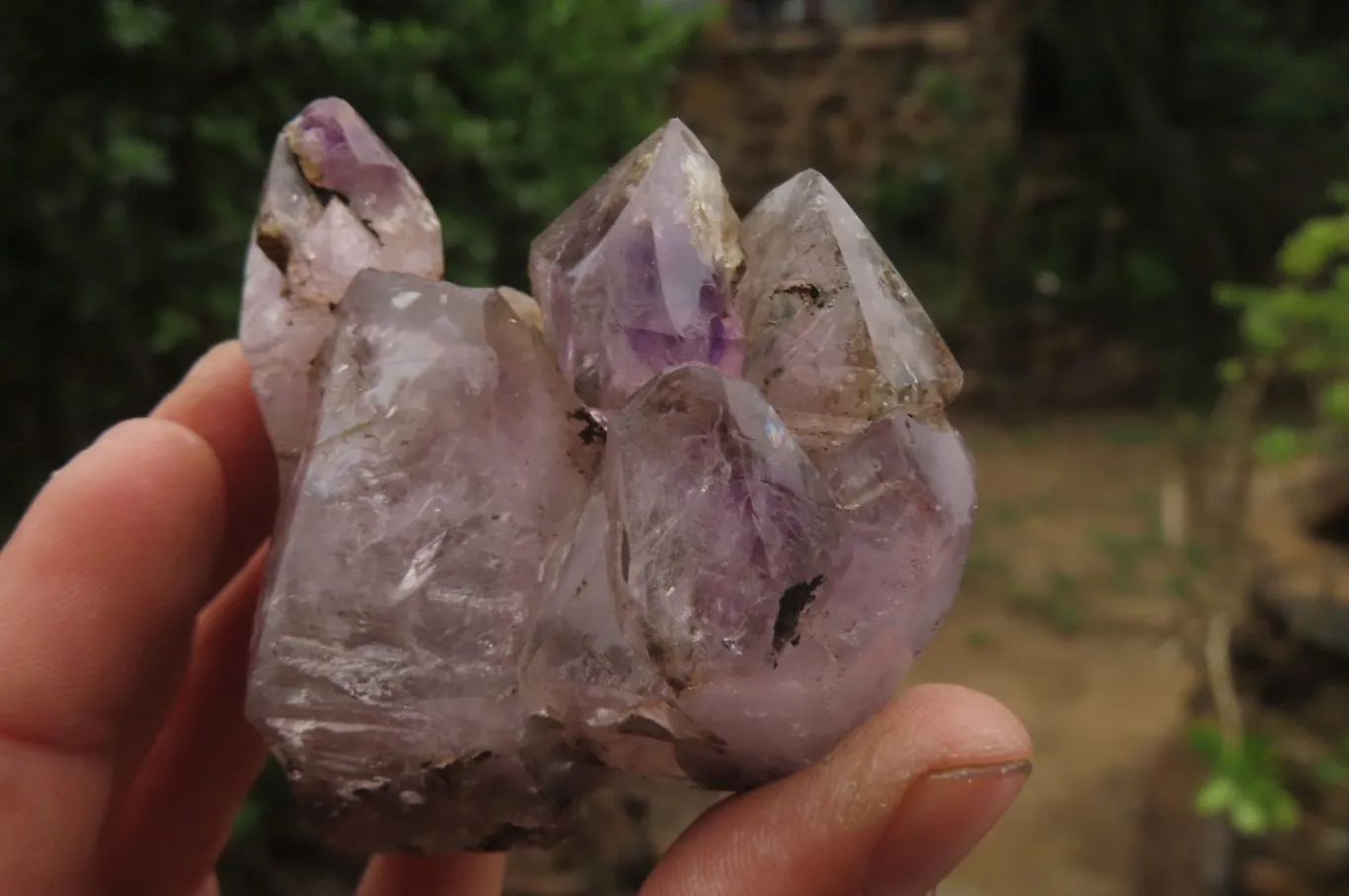 Polished Amethyst Window Quartz Crystals x 4 From Akansobe, Madagascar