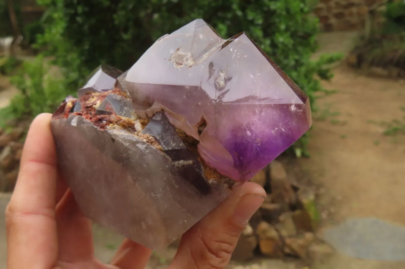 Polished Amethyst Window Quartz Crystals x 4 From Akansobe, Madagascar