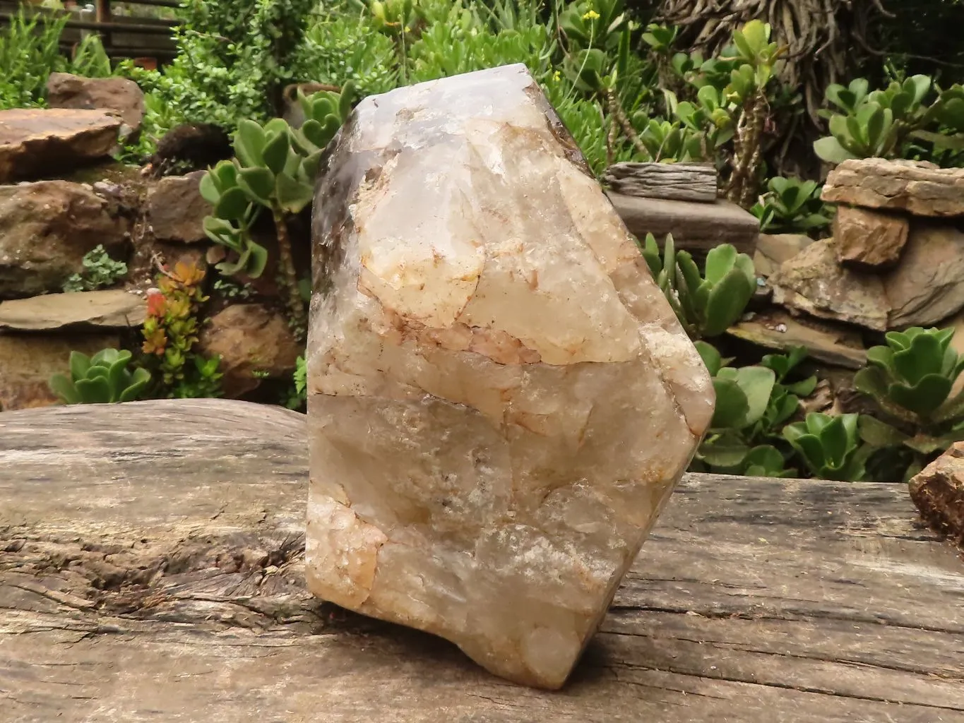 Polished Giant Window Smokey Quartz Display Piece x 1 From Madagascar