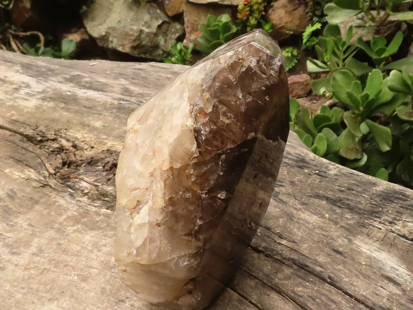 Polished Giant Window Smokey Quartz Display Piece x 1 From Madagascar