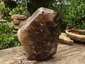 Polished Giant Window Smokey Quartz Display Piece x 1 From Madagascar