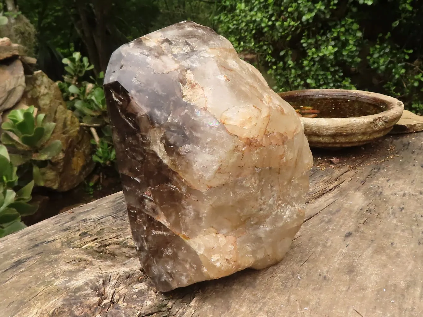 Polished Giant Window Smokey Quartz Display Piece x 1 From Madagascar