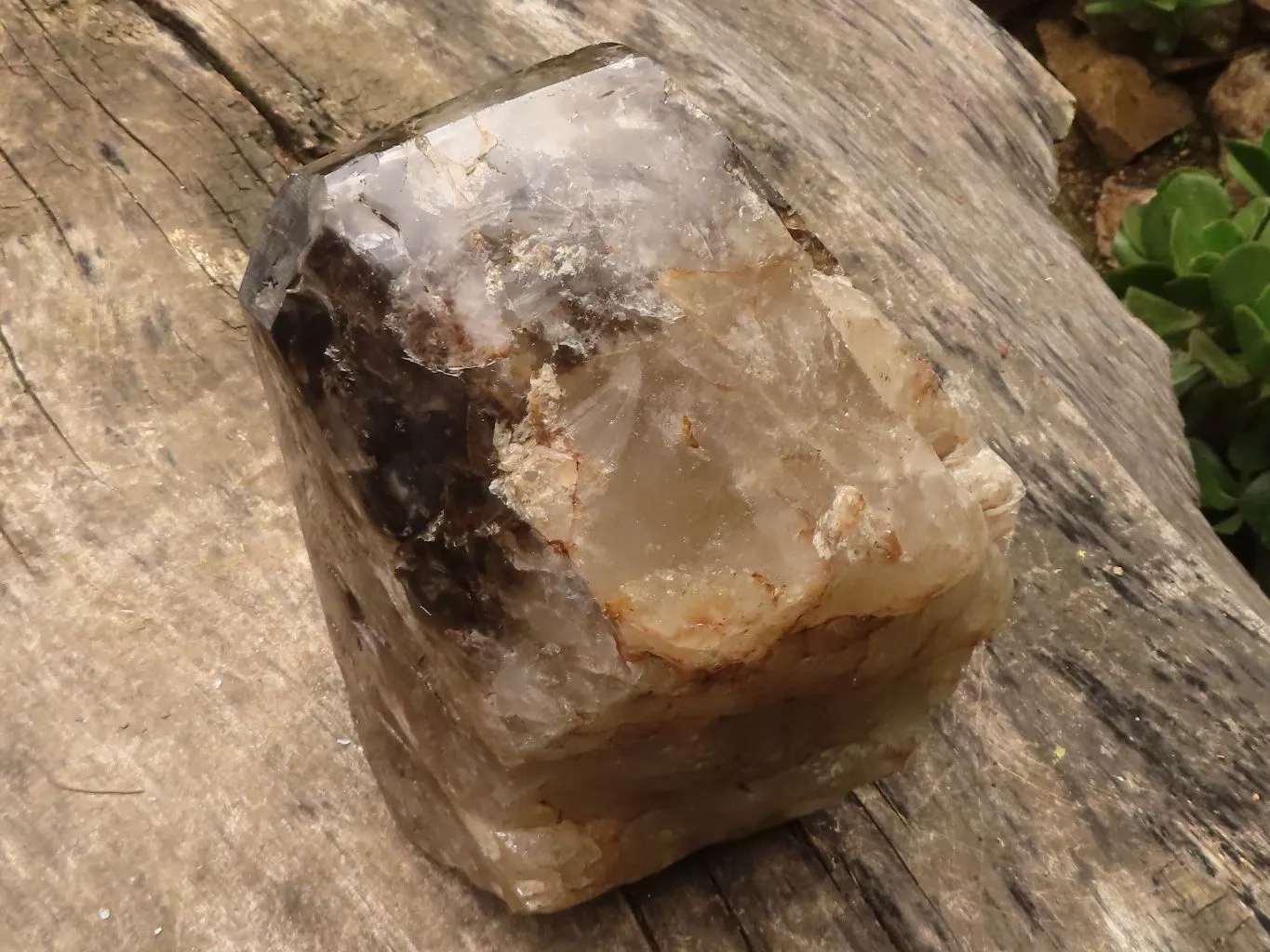 Polished Giant Window Smokey Quartz Display Piece x 1 From Madagascar