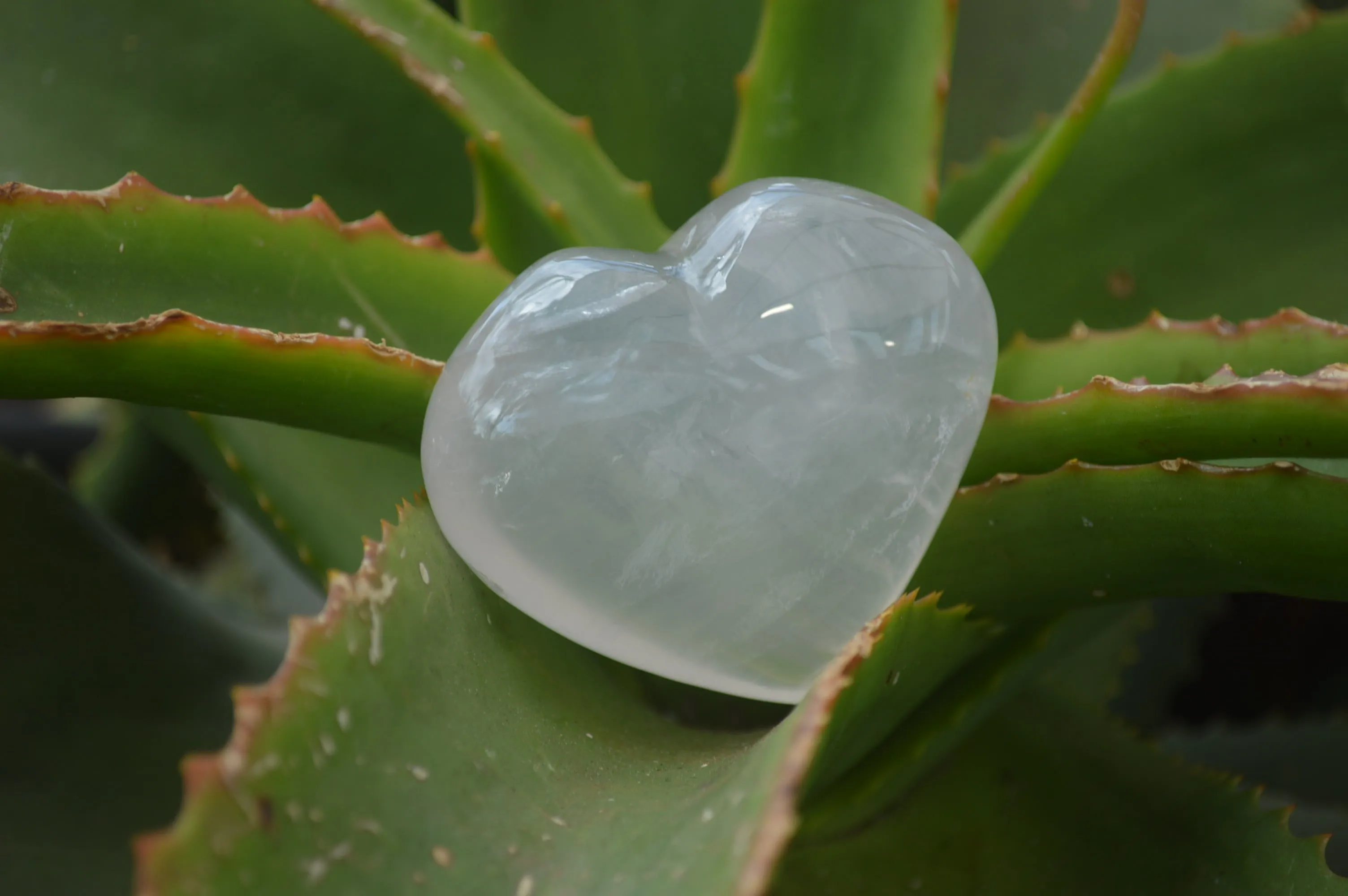 Polished Girasol Quartz Gemstone Hearts x 12 From Madagascar