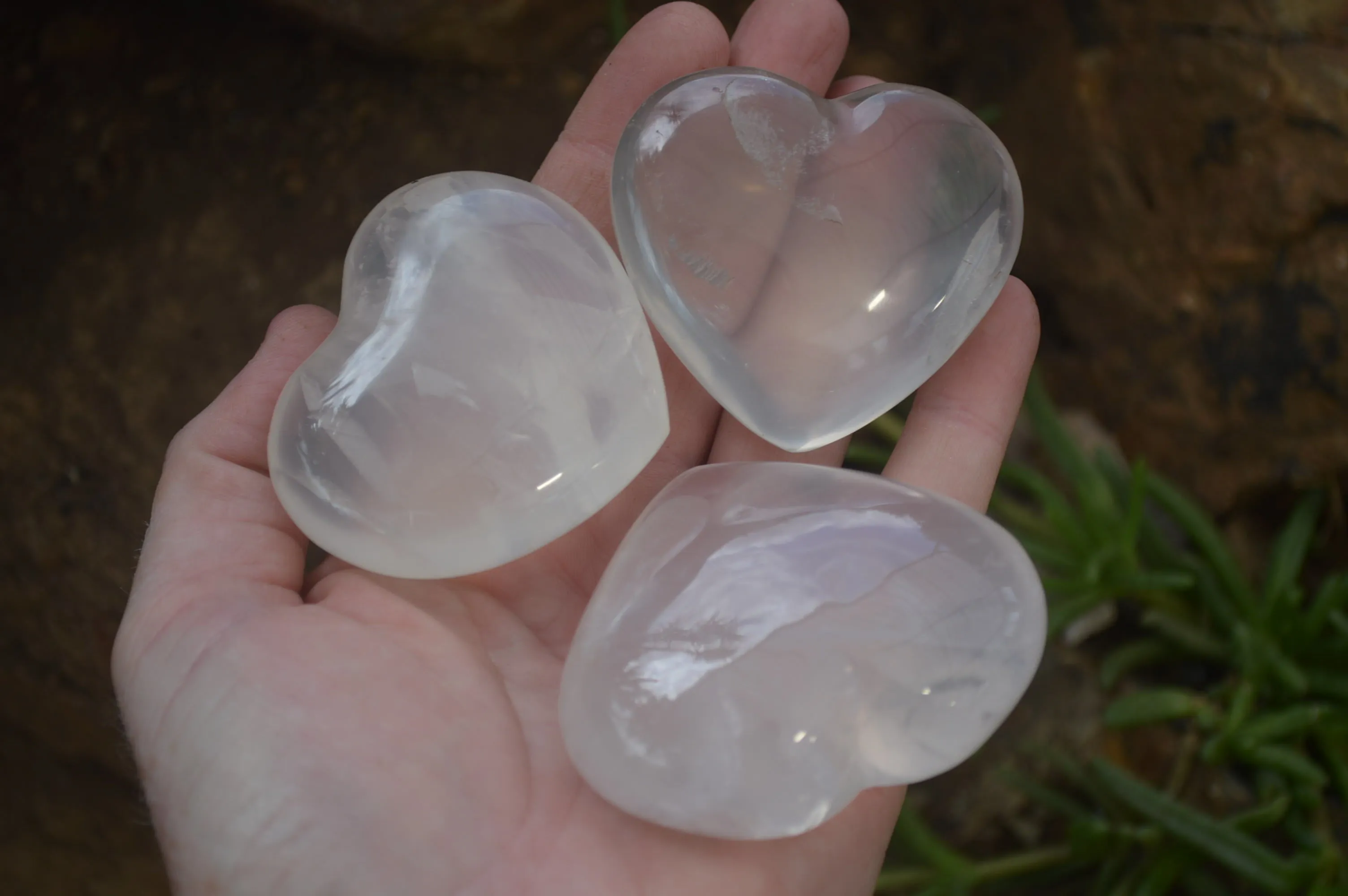 Polished Girasol Quartz Gemstone Hearts x 12 From Madagascar