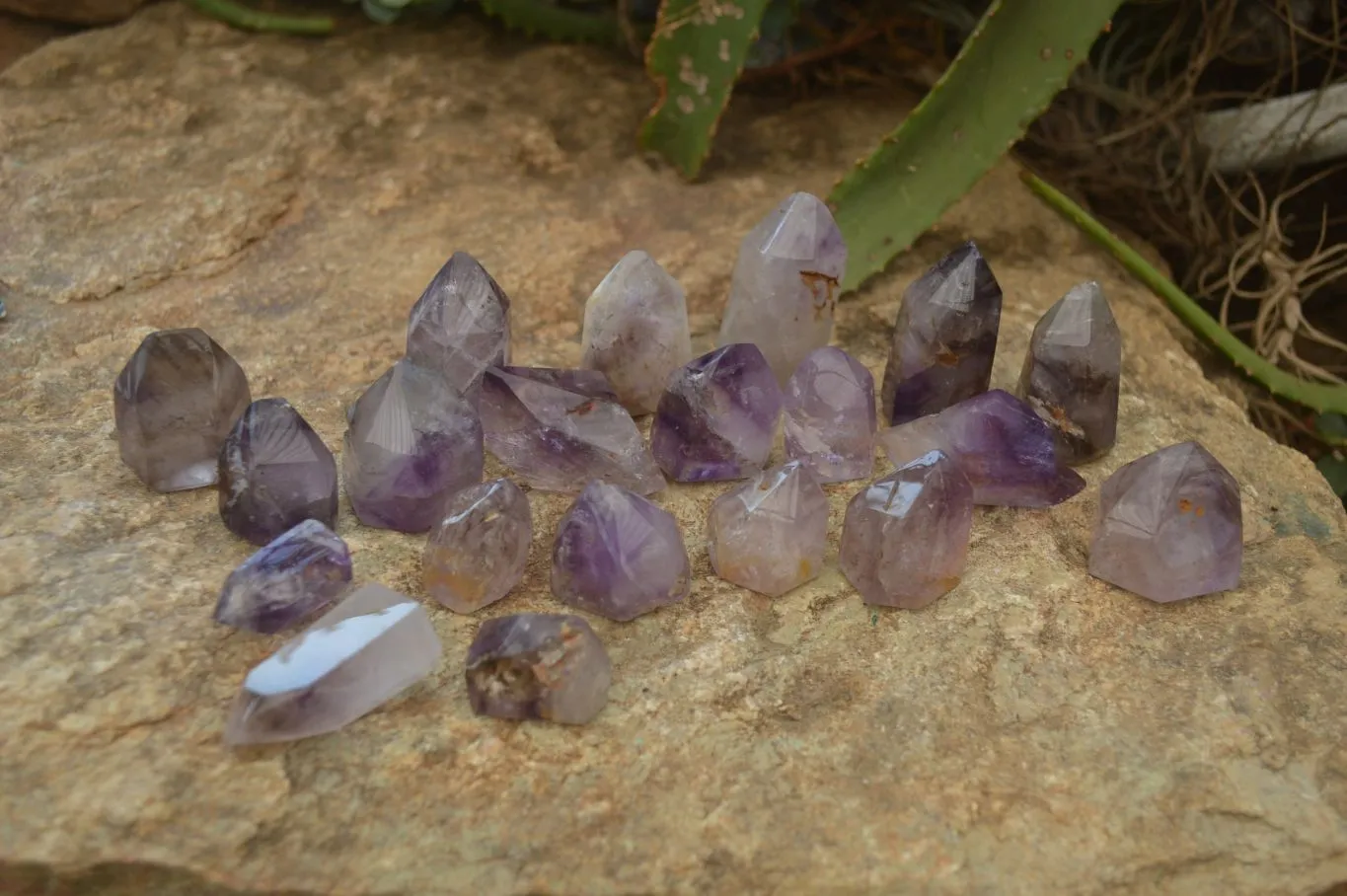 Polished Window Amethyst Quartz Crystals x 20 From Akansobe, Madagascar